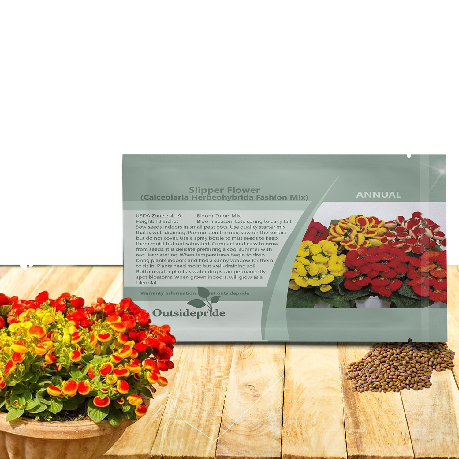 Slipper Flower Seed Packet For Planting