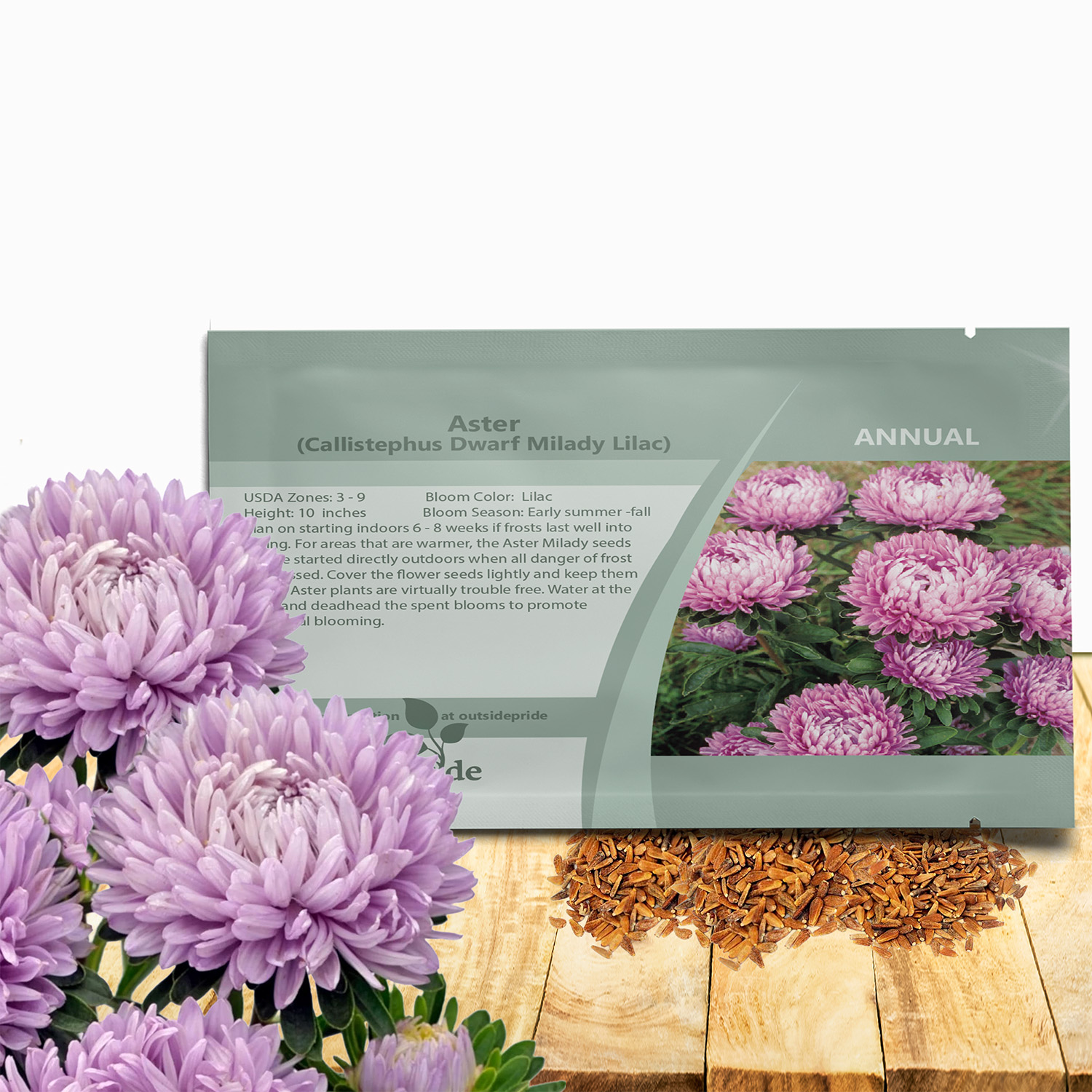 Aster Milady Lilac Seed Packet