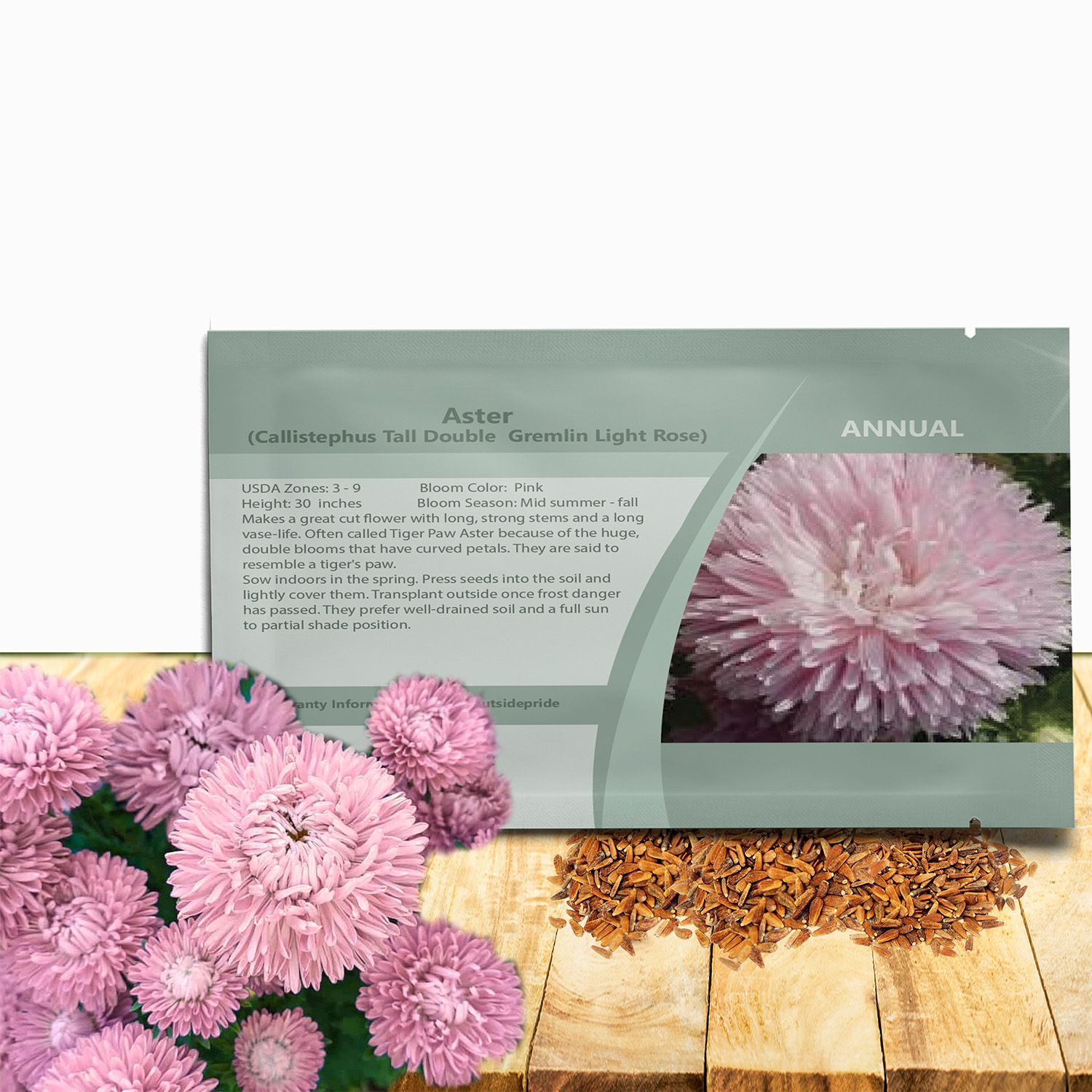Aster Gremlin Light Rose Seed Packet