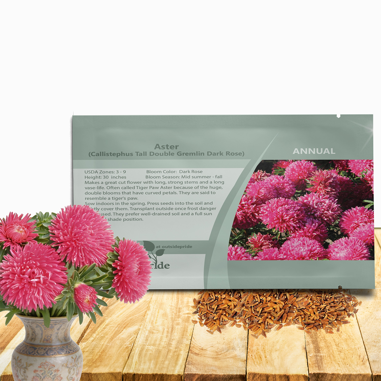 Aster Gremlin Dark Rose Seed Packet
