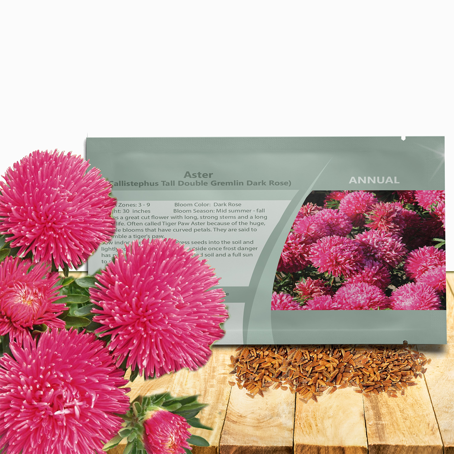 Aster Gremlin Dark Rose Seed Packet