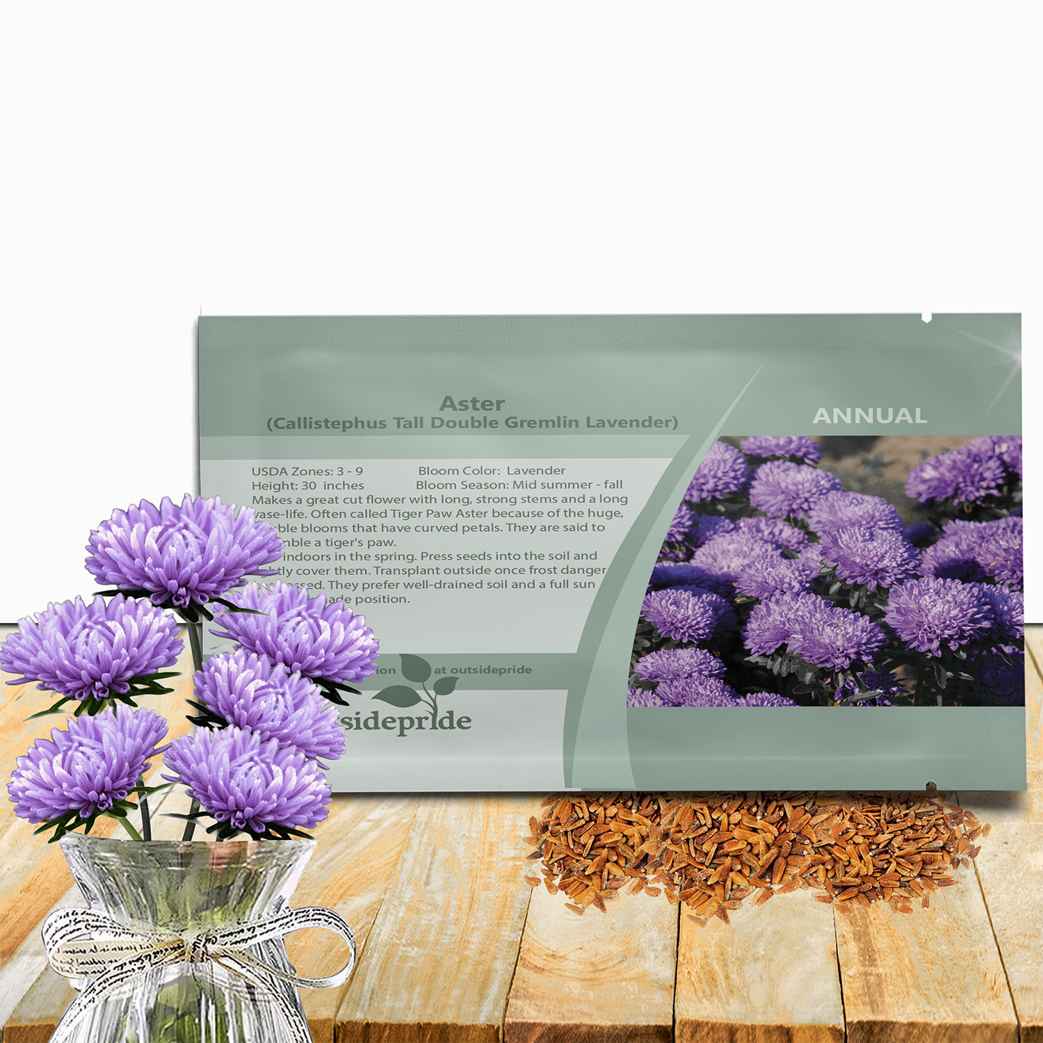 Aster Gremlin Lavender Seed Packet