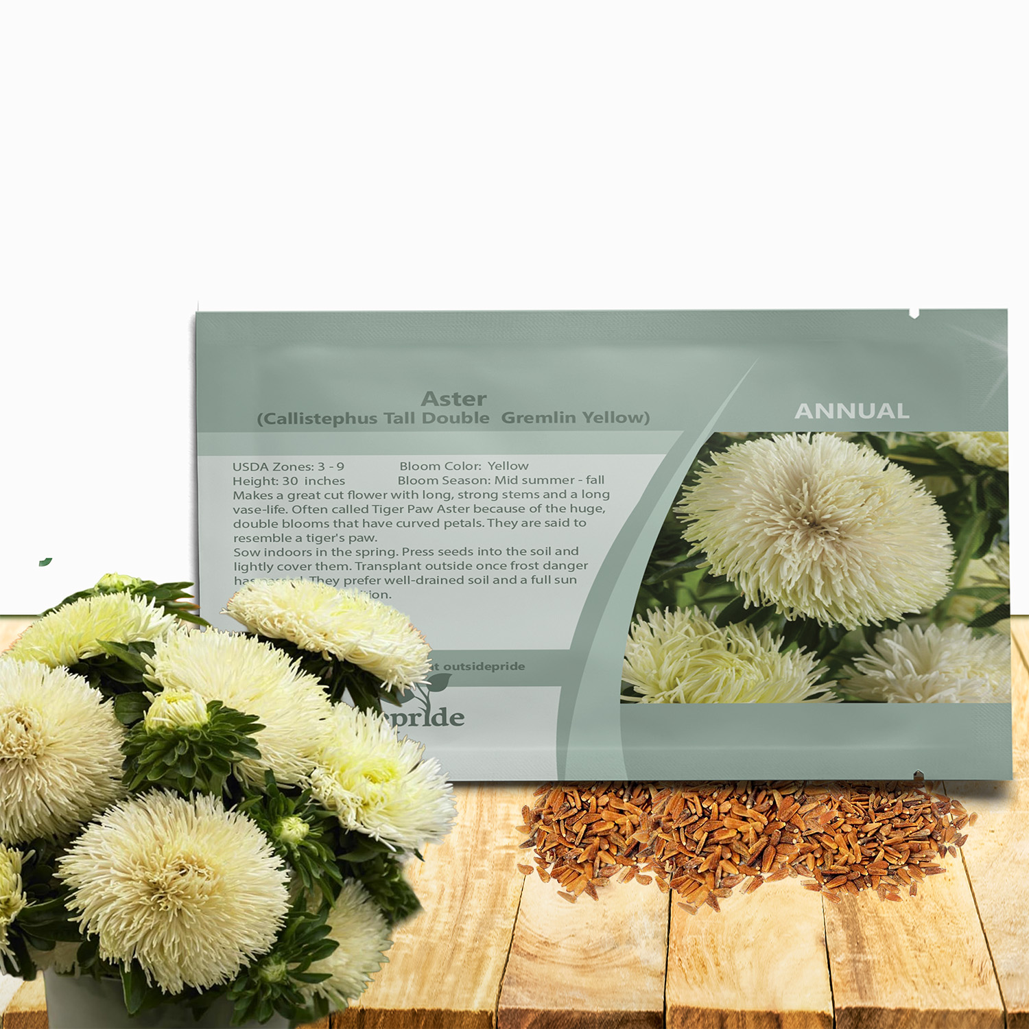 Aster Gremlin Yellow Garden Seed Packets