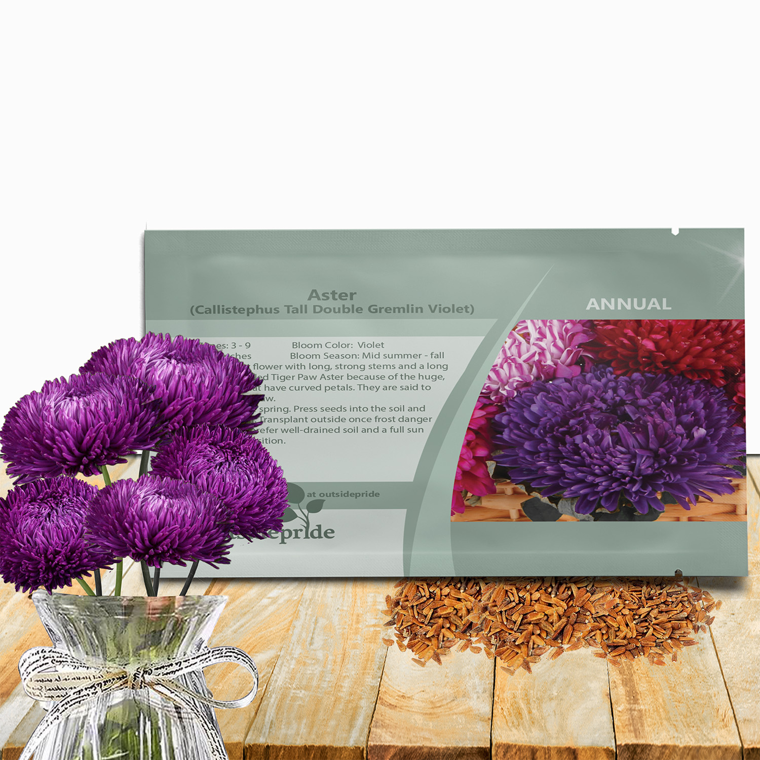 Aster Gremlin Violet Seed Packet
