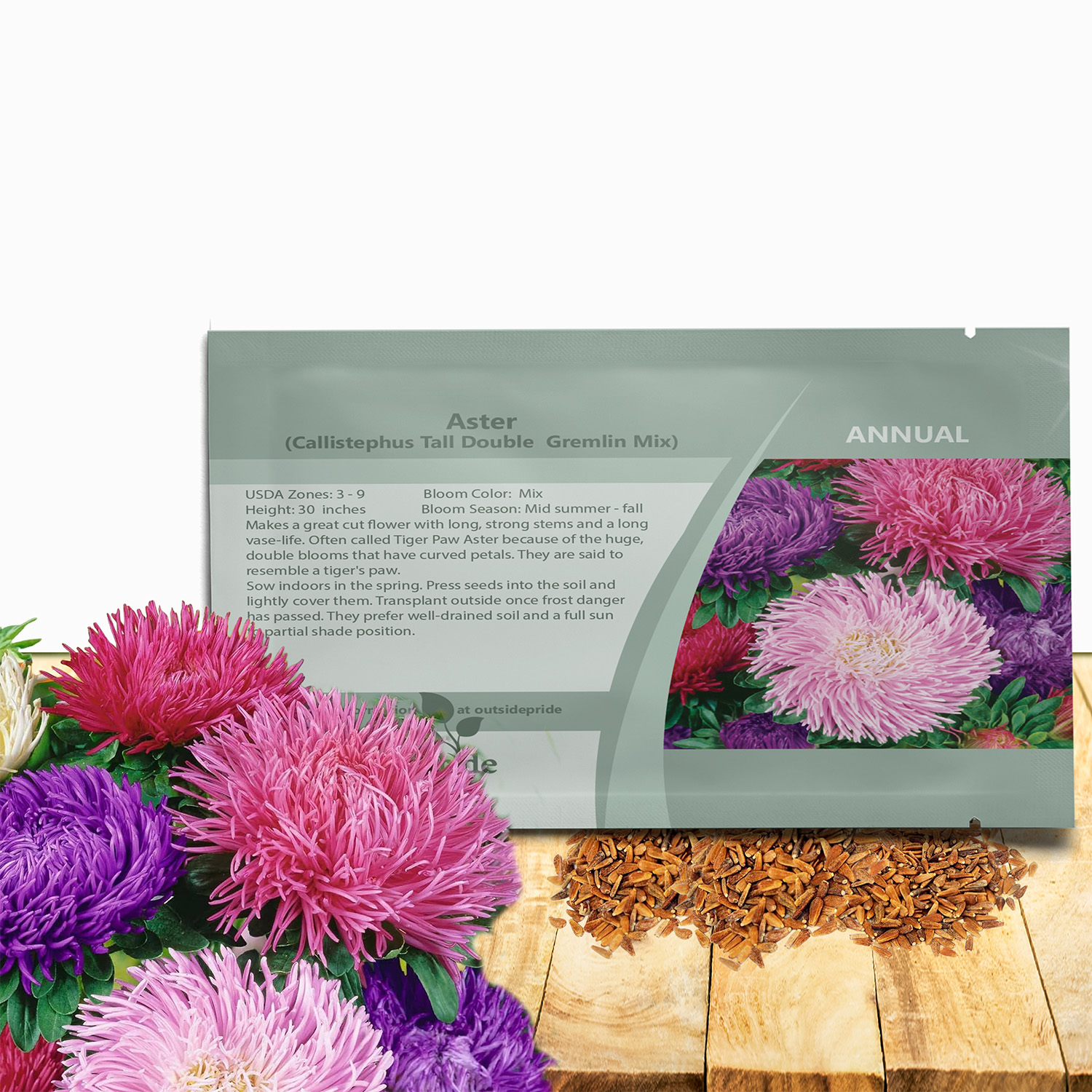 Aster Gremlin Seed Packet Mix