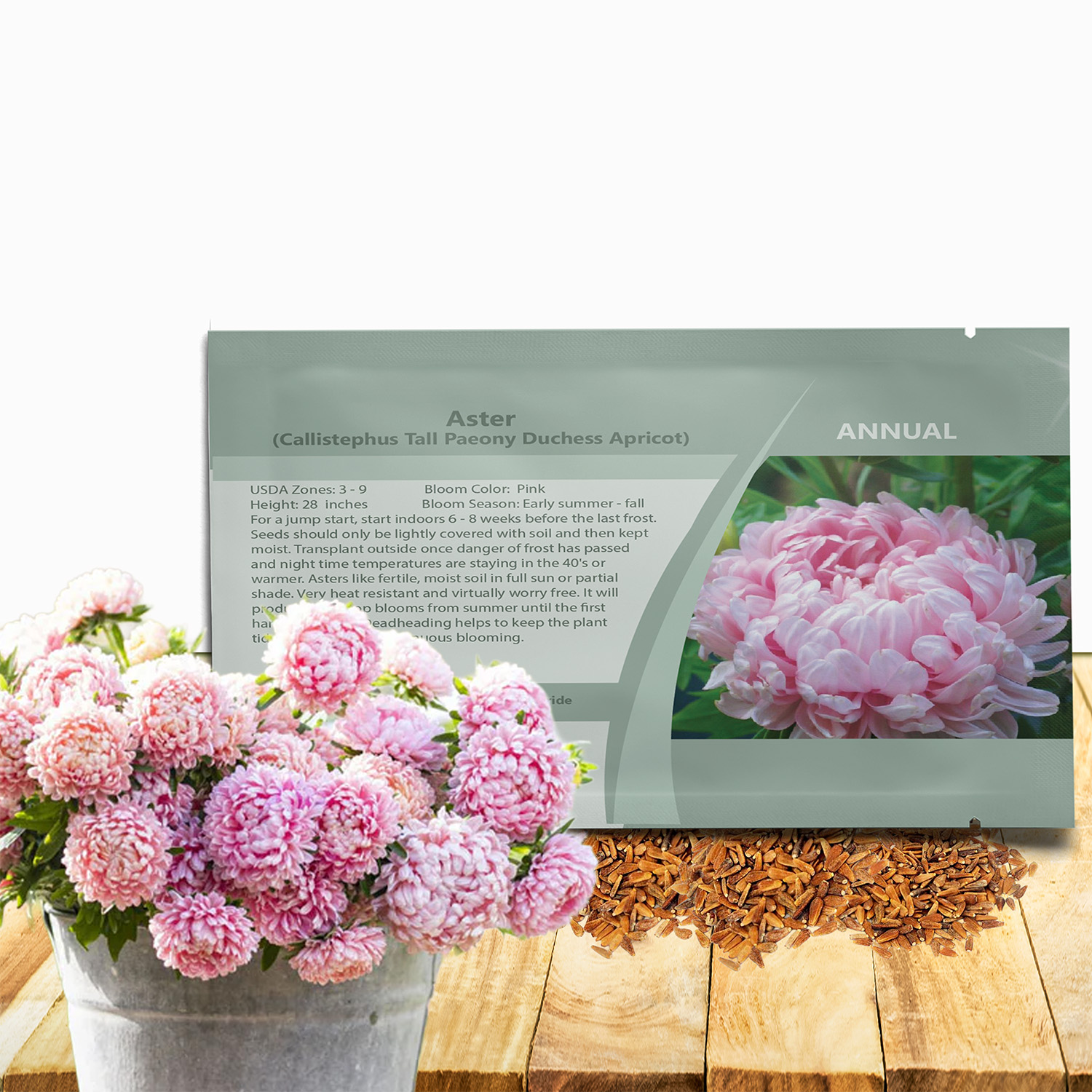 Aster Paeony Apricot Flower Seed Packet