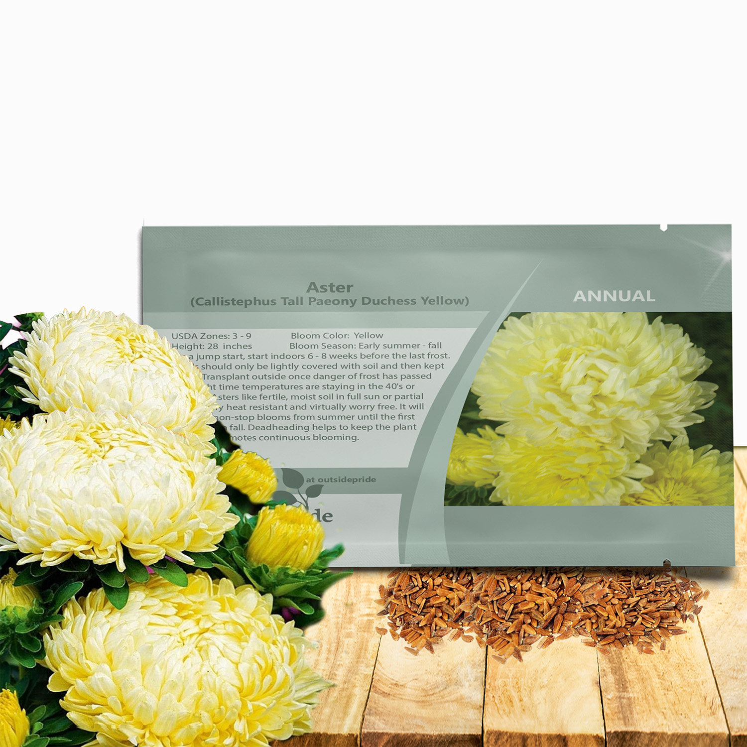 Aster Paeony Yellow Seed Packet