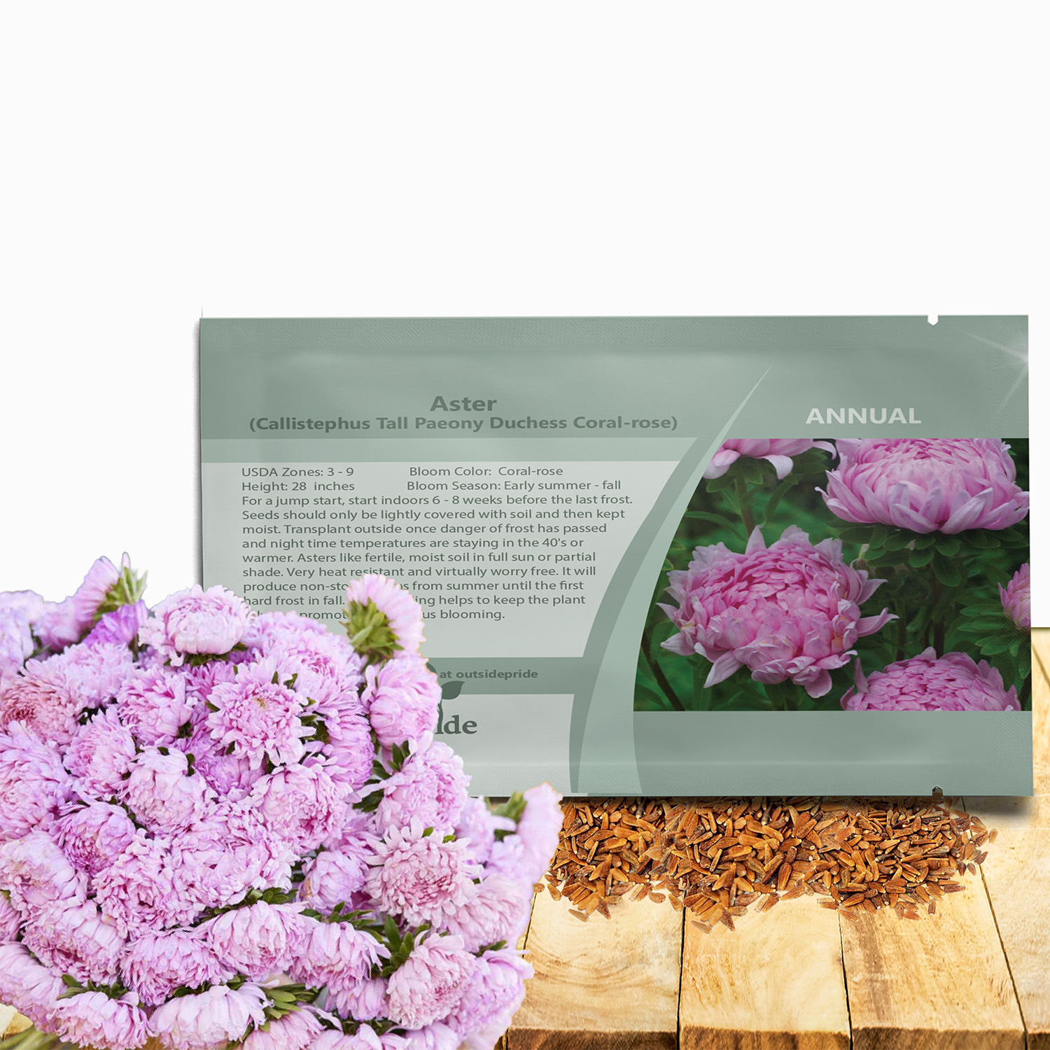 Aster Paeony Coral-rose Seed Packet