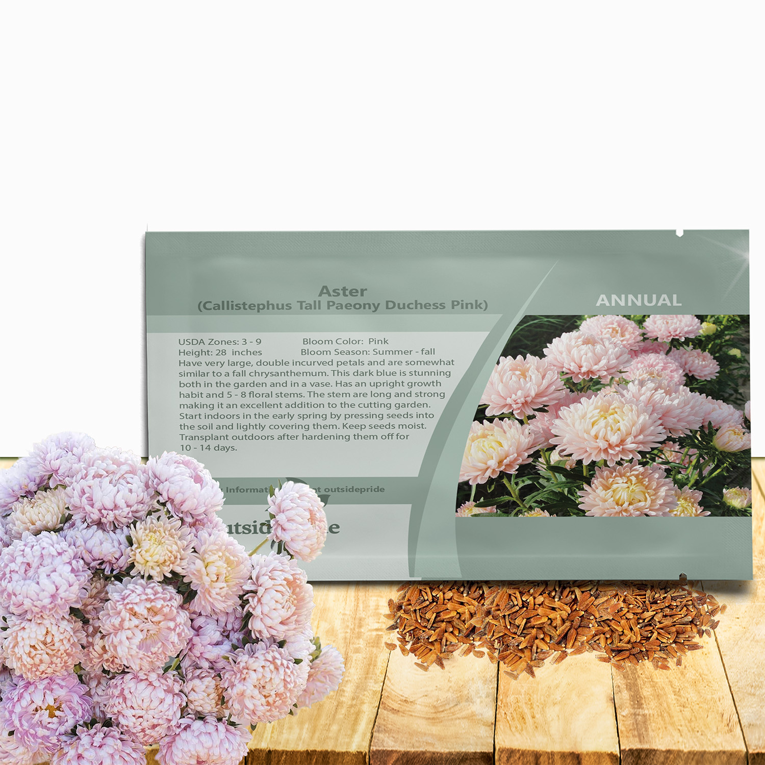 Aster Paeony Pink Flower Seed Packet