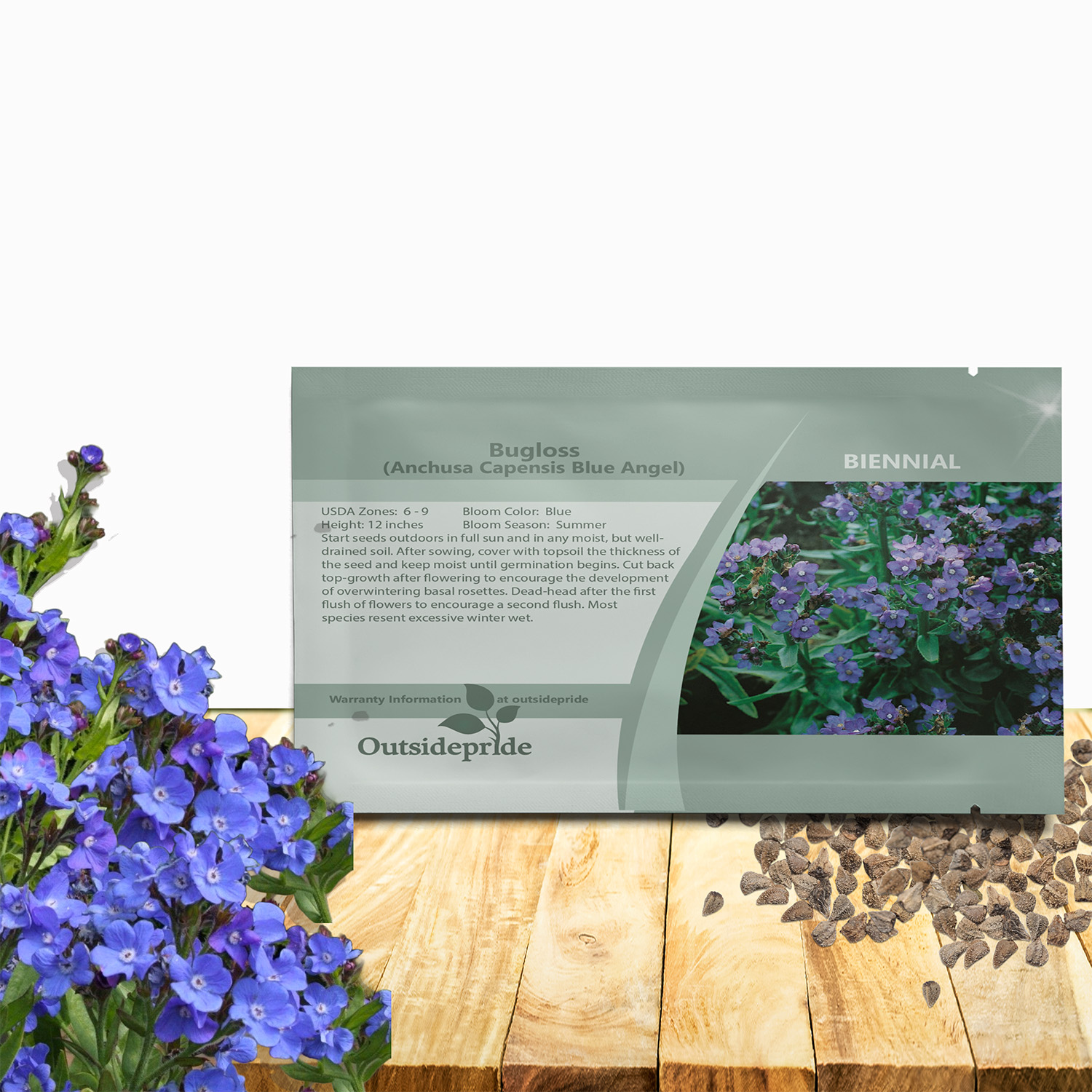 Bugloss Flower Seed Packet For Planting