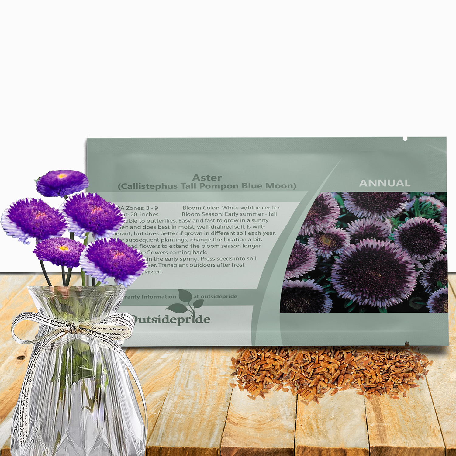 Aster Pompon Blue Moon Seed Packet