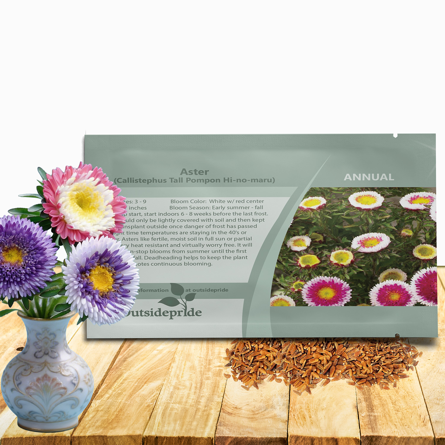 Aster Pompon Hi-no-maru Seed Packet