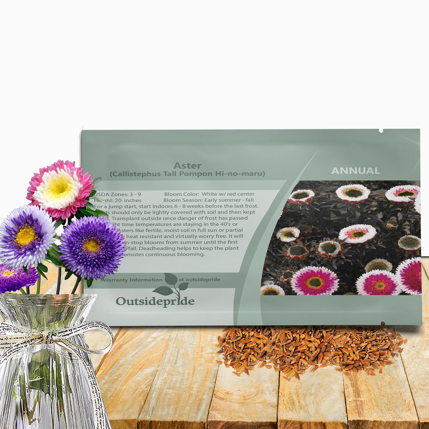 Aster Pompon Hi-no-maru Seed Packet