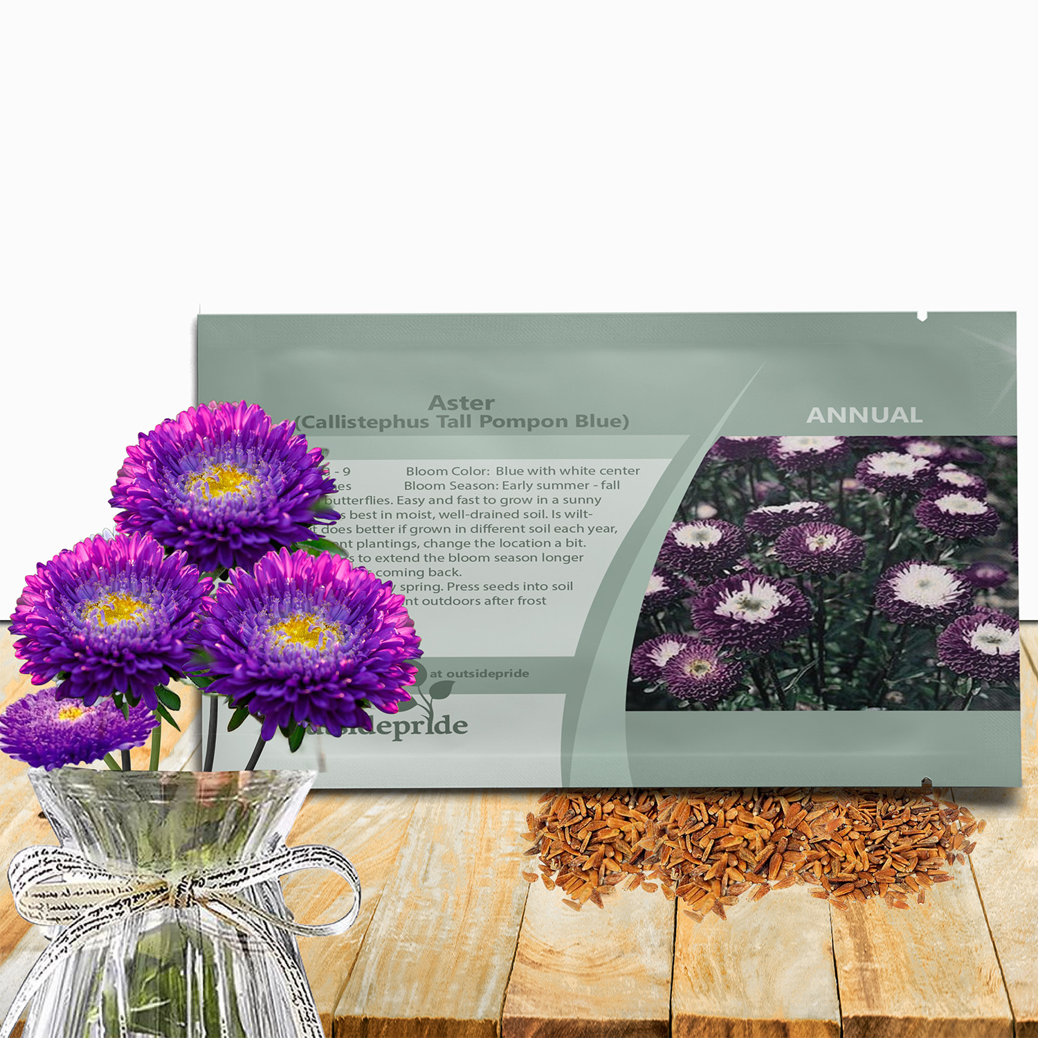 Aster Pompon Blue Seed Packet