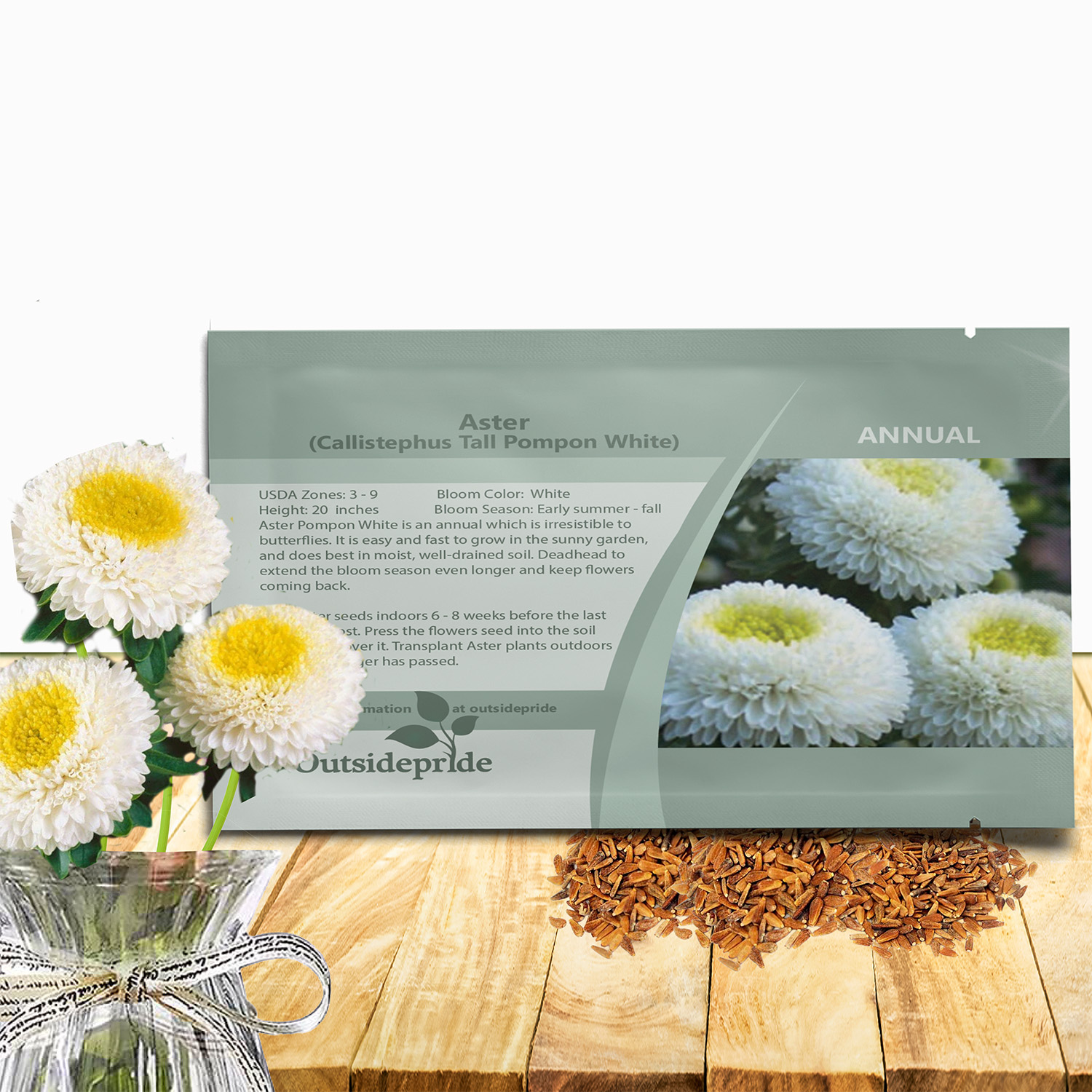 Aster Pompon White Seed Packet
