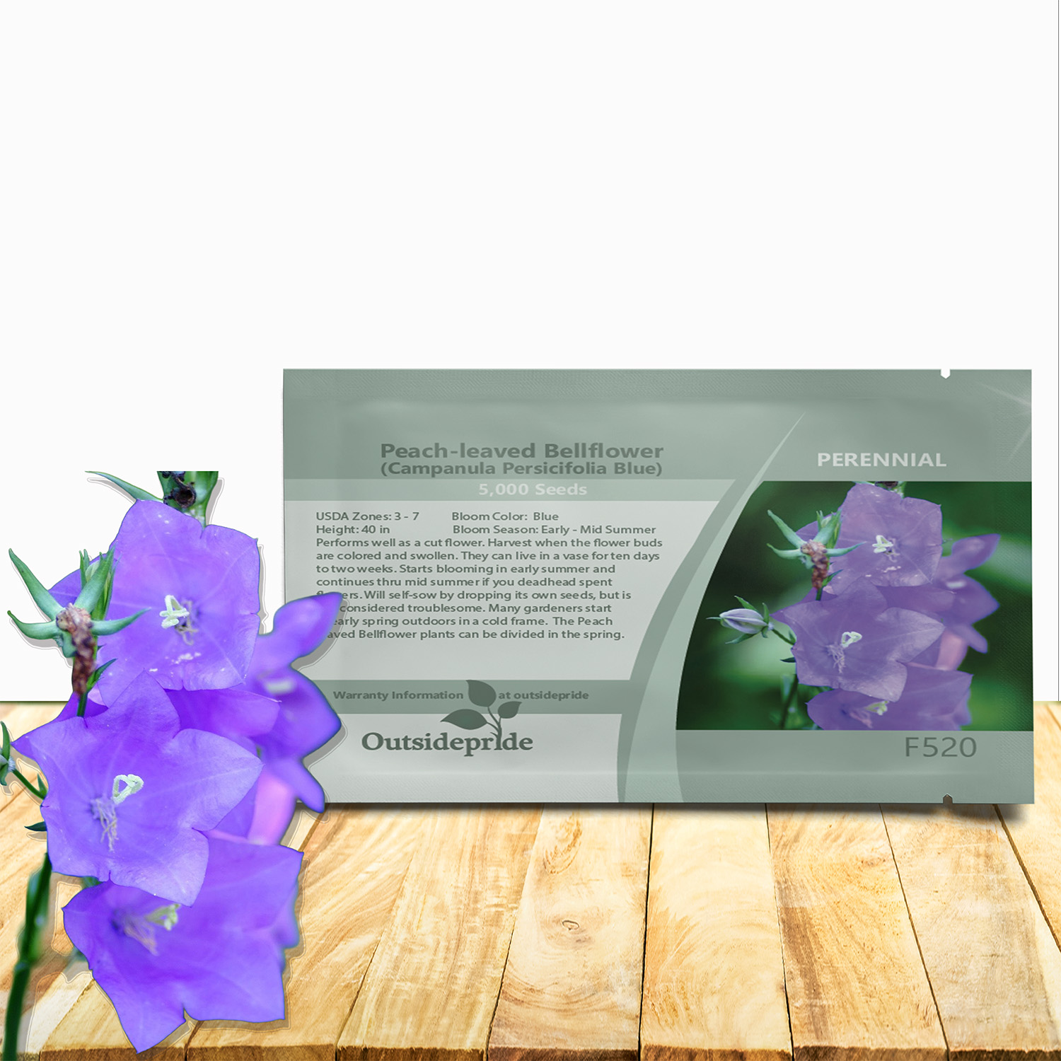 Campanula Peach-Leaved Blue Seed Packet