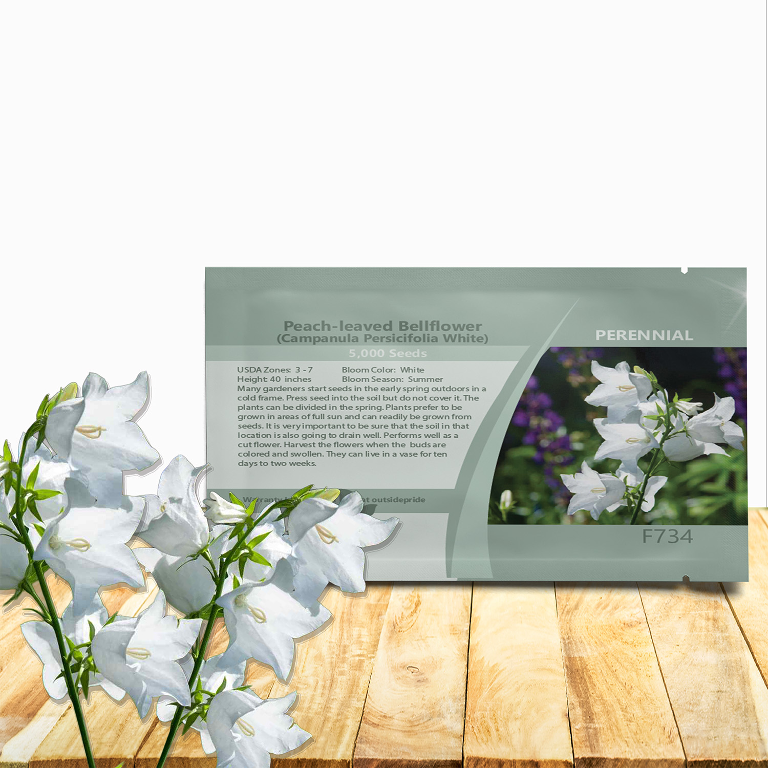 Campanula Bellflower Peach_leaved White Seed Packet