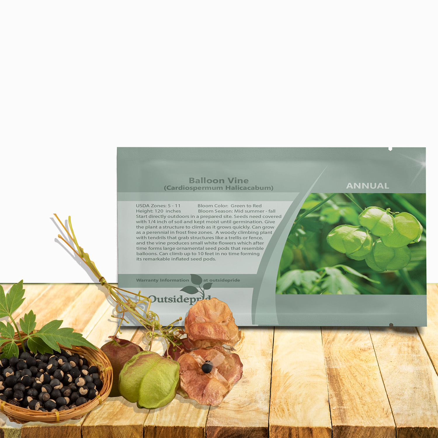 Balloon Vine Seed Packet For Planting