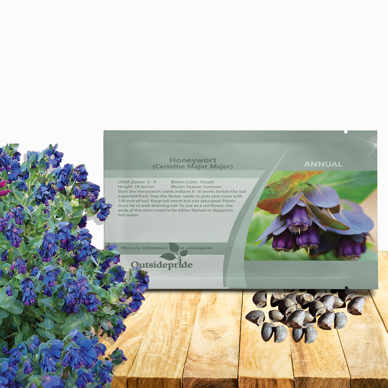 Cerinthe Major Seed Packet For Planting