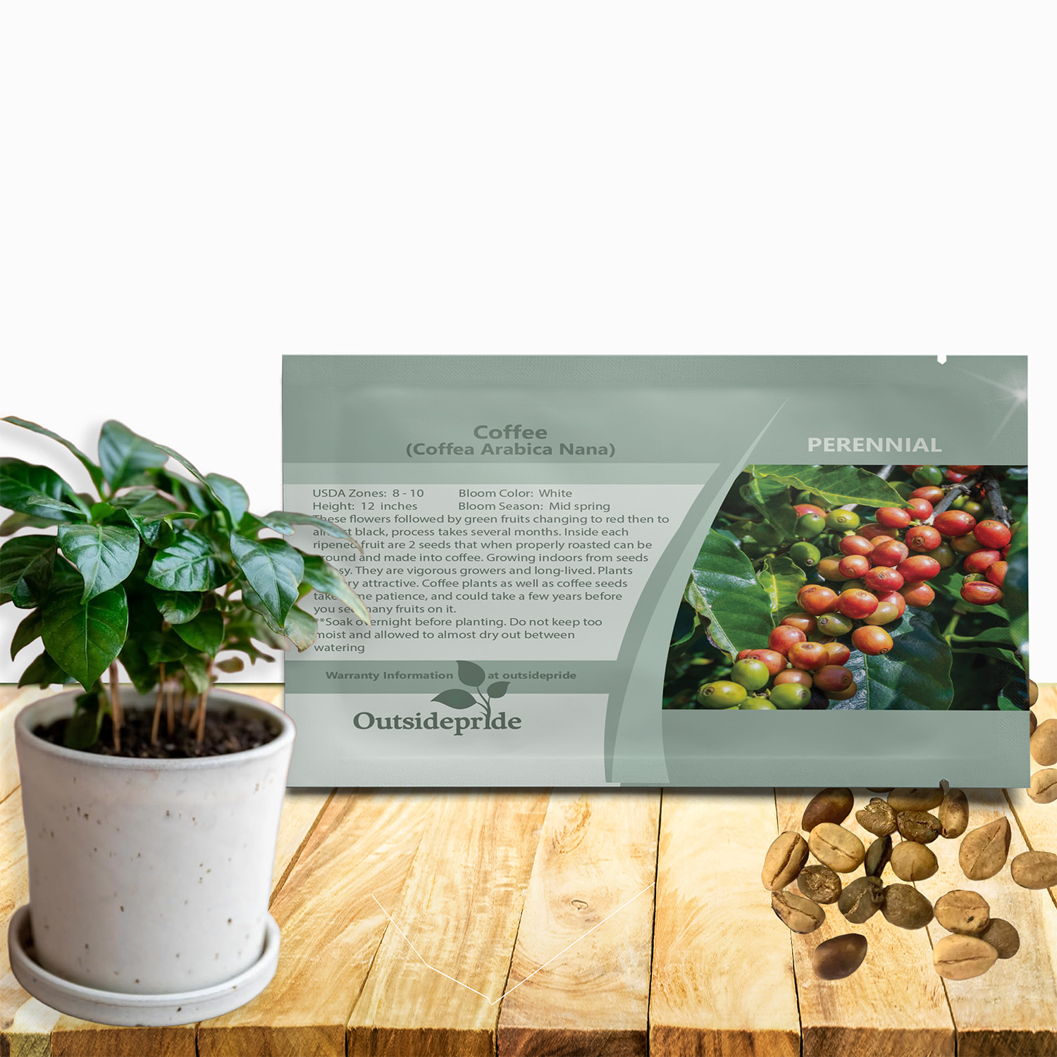 Coffee Flower Seed Packet For Planting