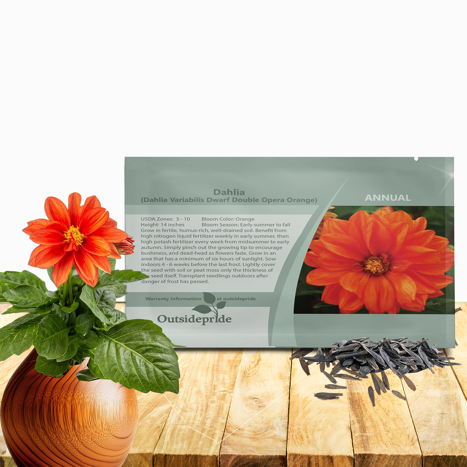 Dahlia Opera Orange Flower Seed Packet For Planting