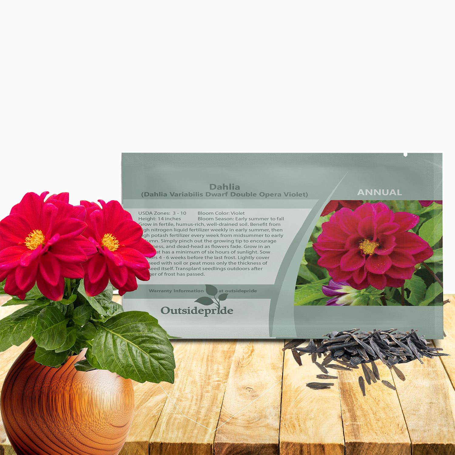 Dahlia Opera Violet Seed Packet