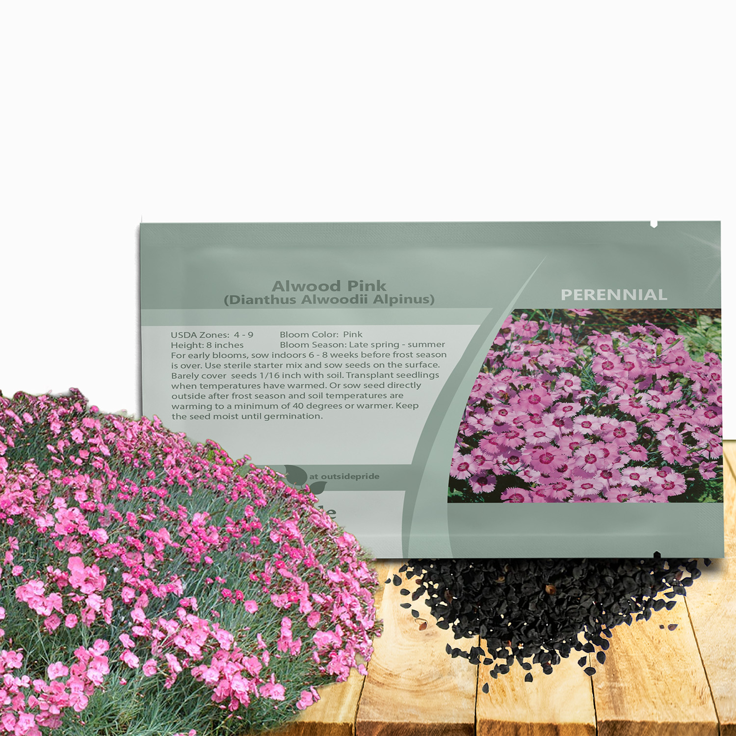 Dianthus Alwoodii Flower Seed Packet