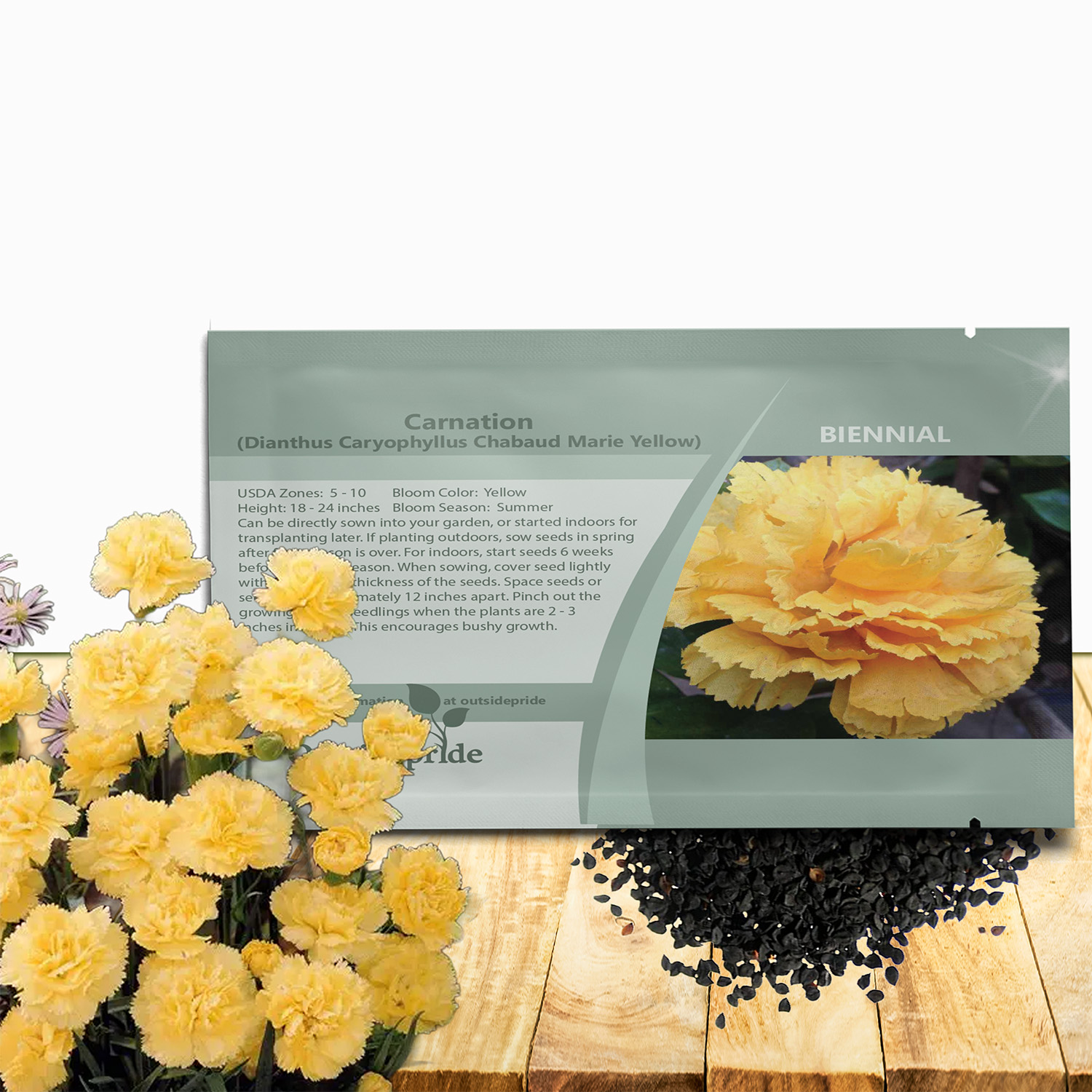 Flowering Yellow Carnation Seed Packet
