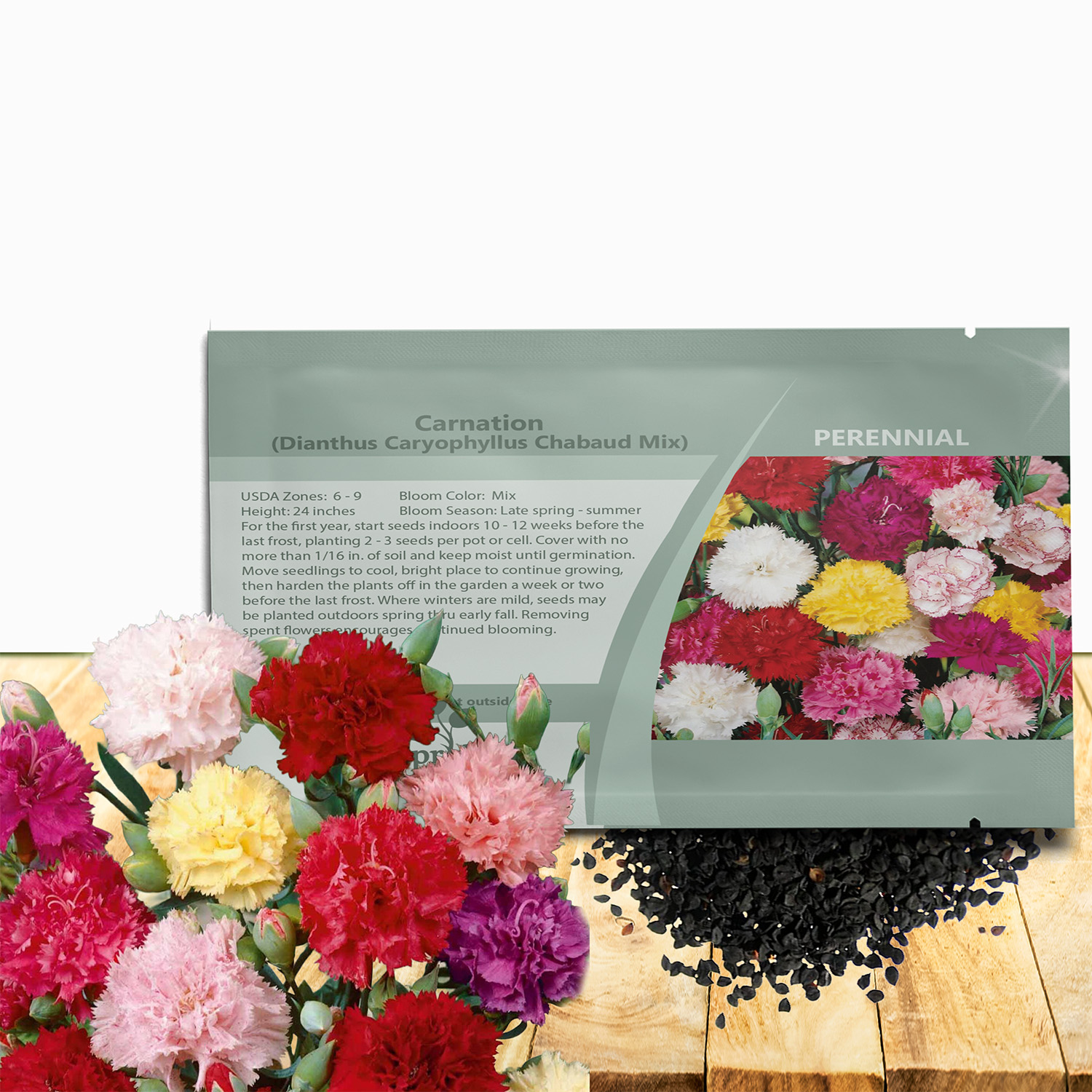 Carnation Chabaud Mix Seed Packet