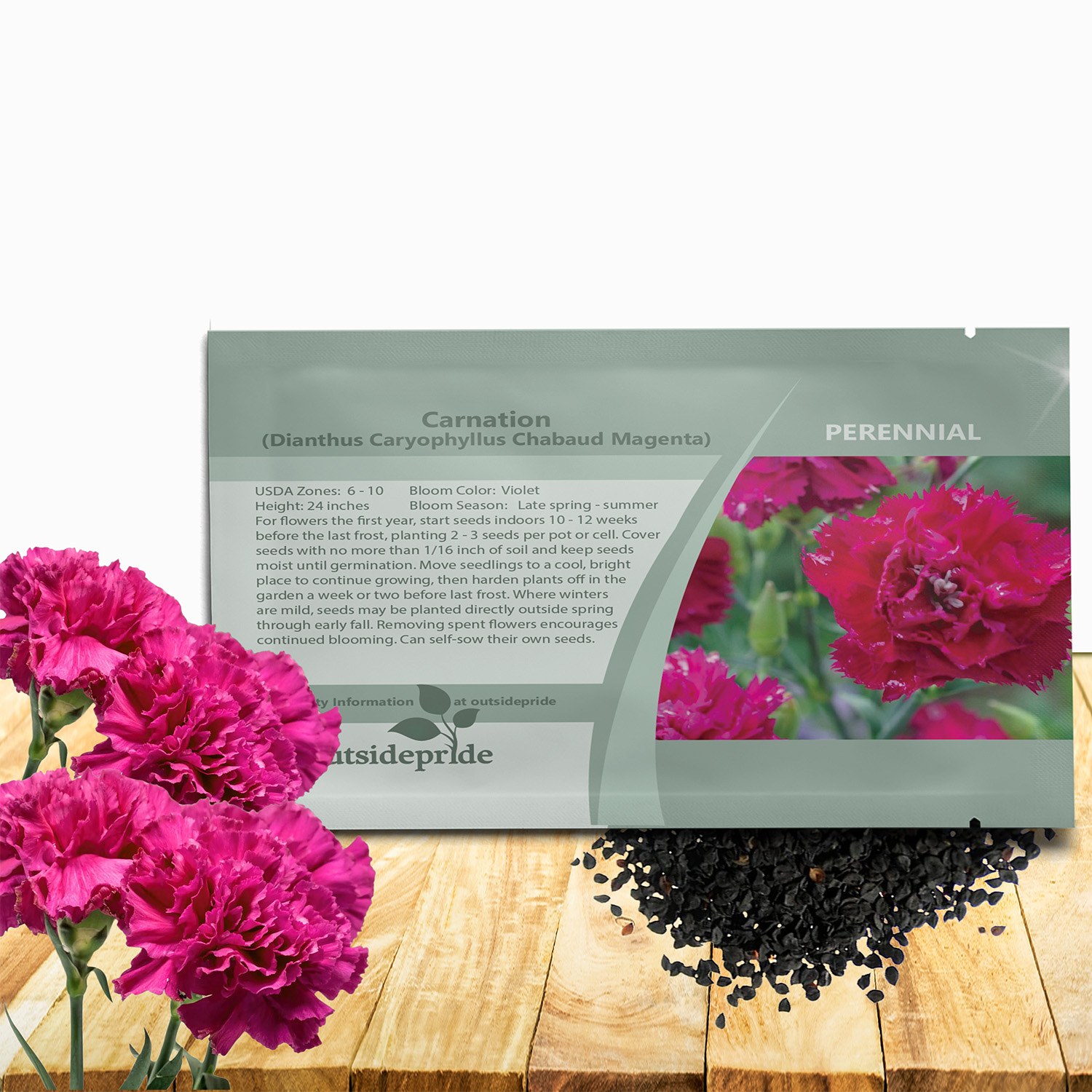Carnation Chabaud Magenta Seed Packet