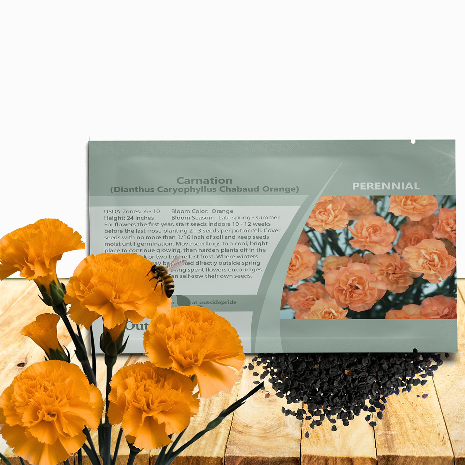 Carnation Chabaud Orange Seed Packet