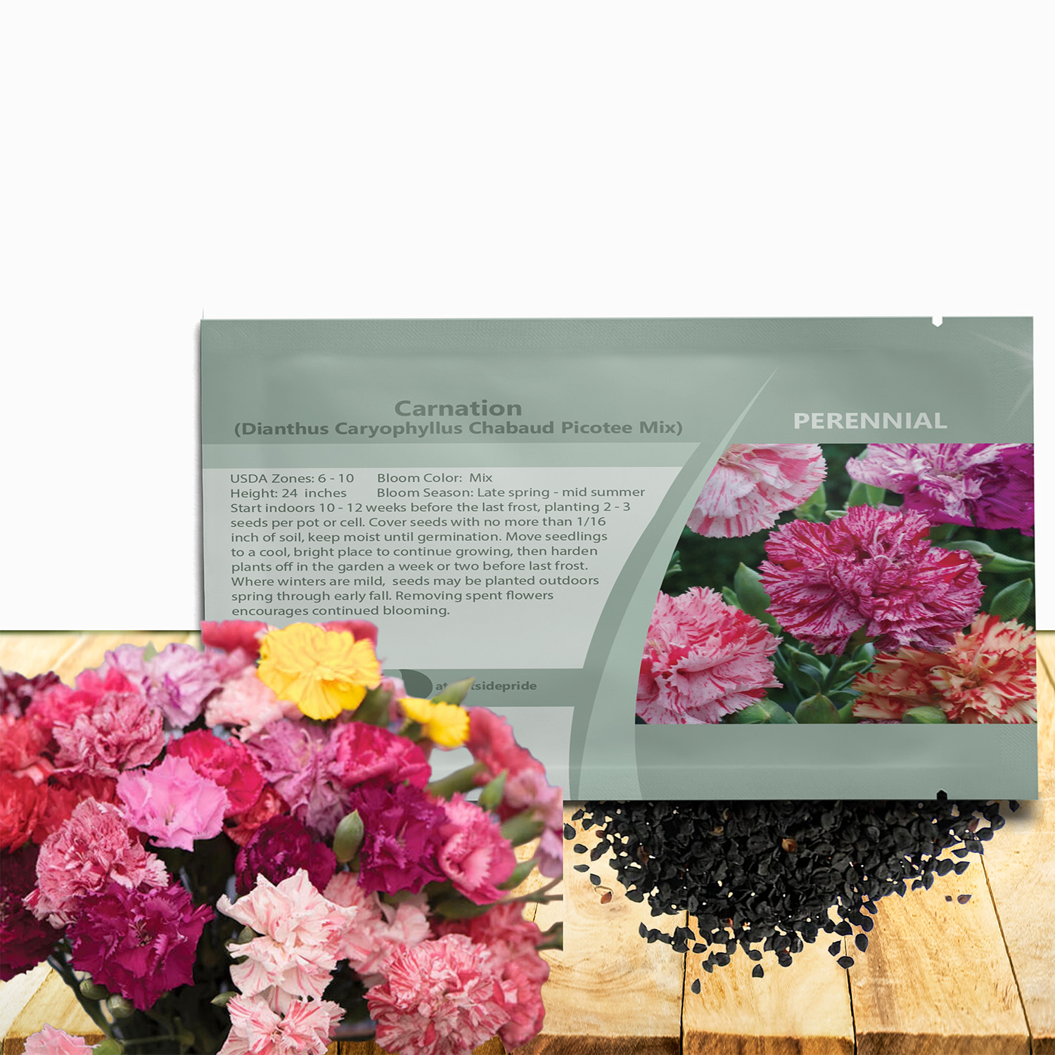 Carnation Chabaud Picotee Seed Packet Mix
