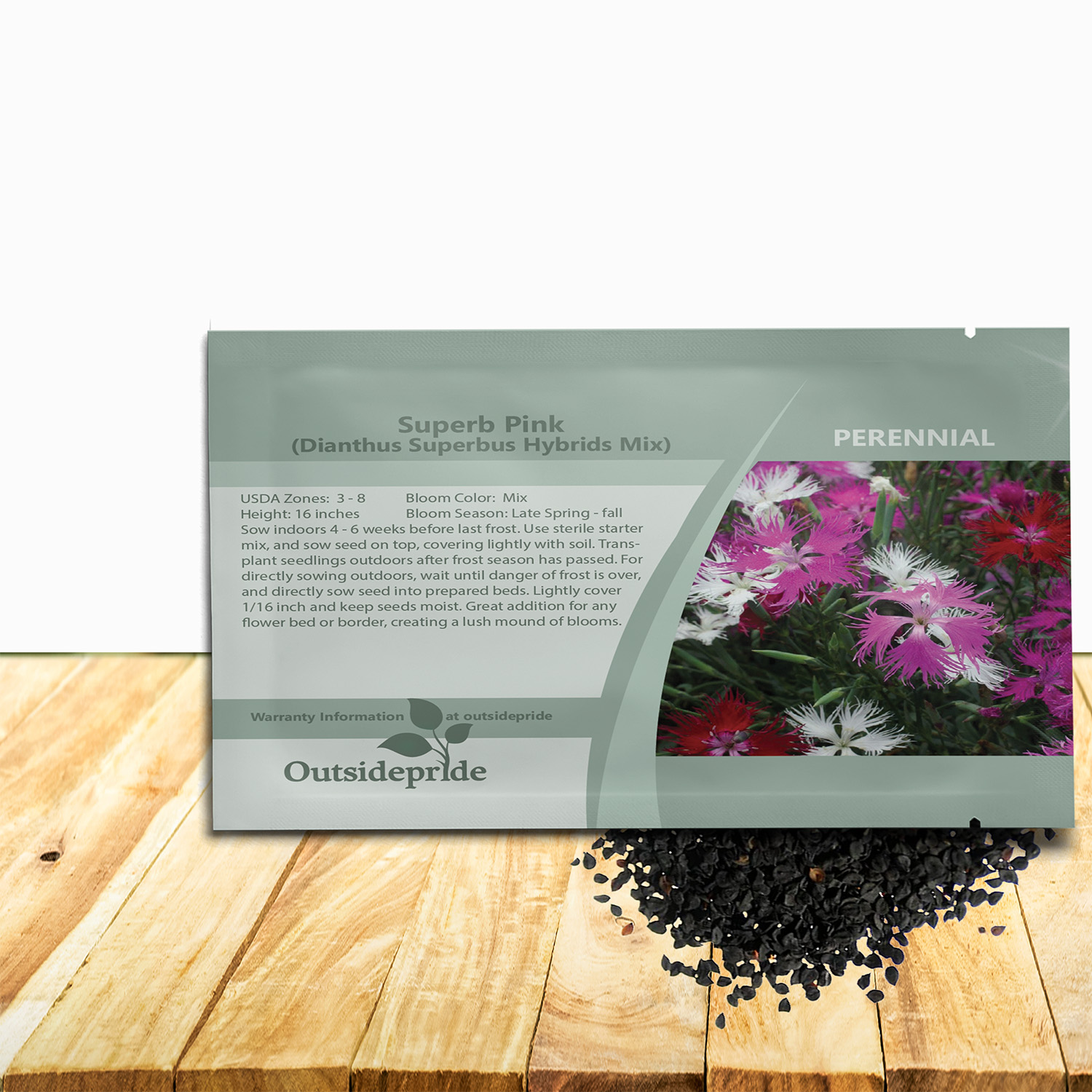 Dianthus Superbus Garden Flower Mix