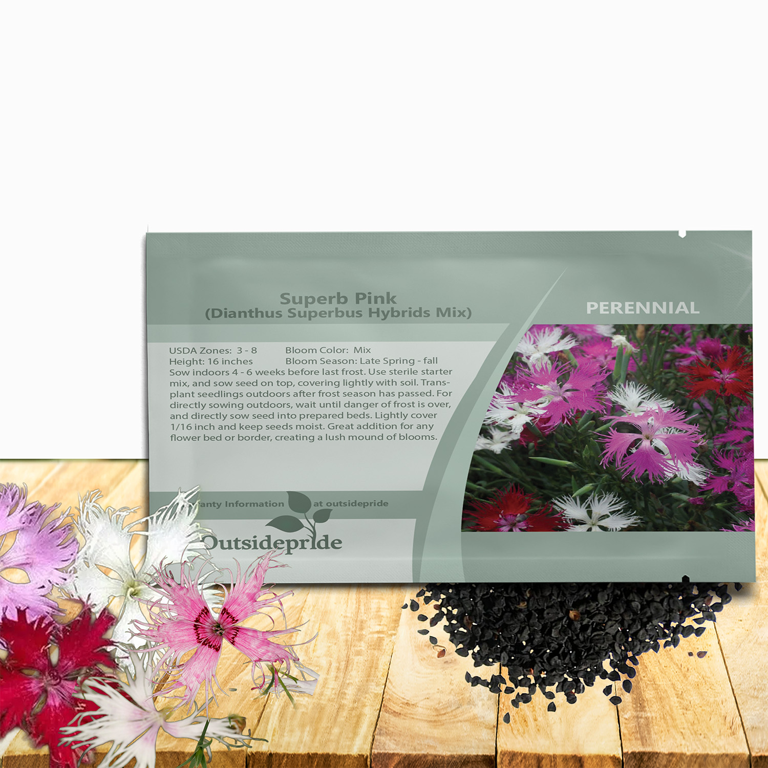 Dianthus Superbus Garden Flower Mix