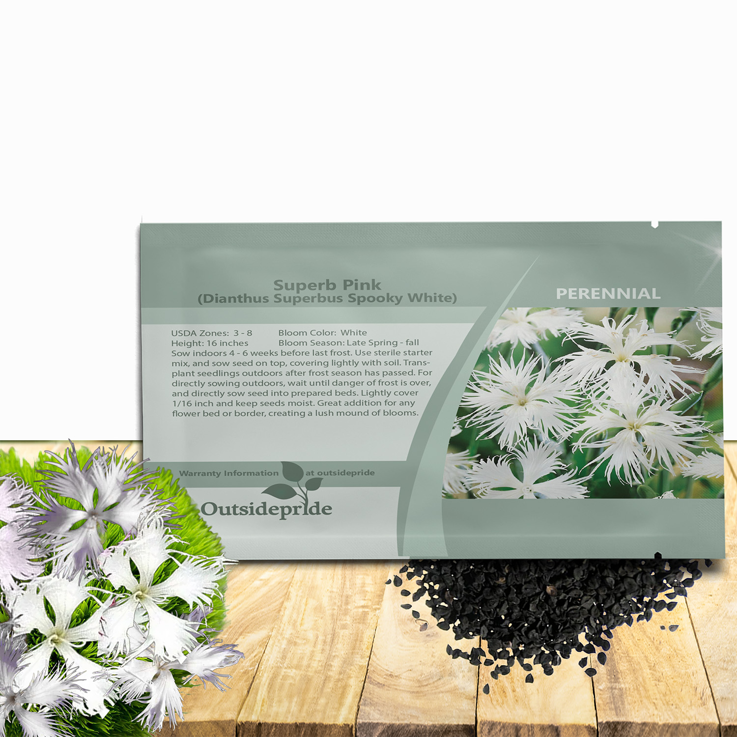 Dianthus Superbus White Garden Flowers