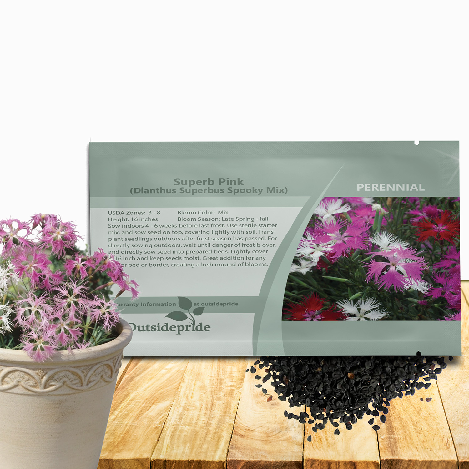 Dianthus Spooky Flower Seed Mix