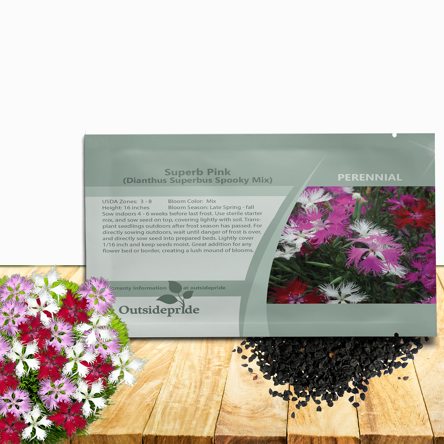 Dianthus Spooky Flower Seed Mix