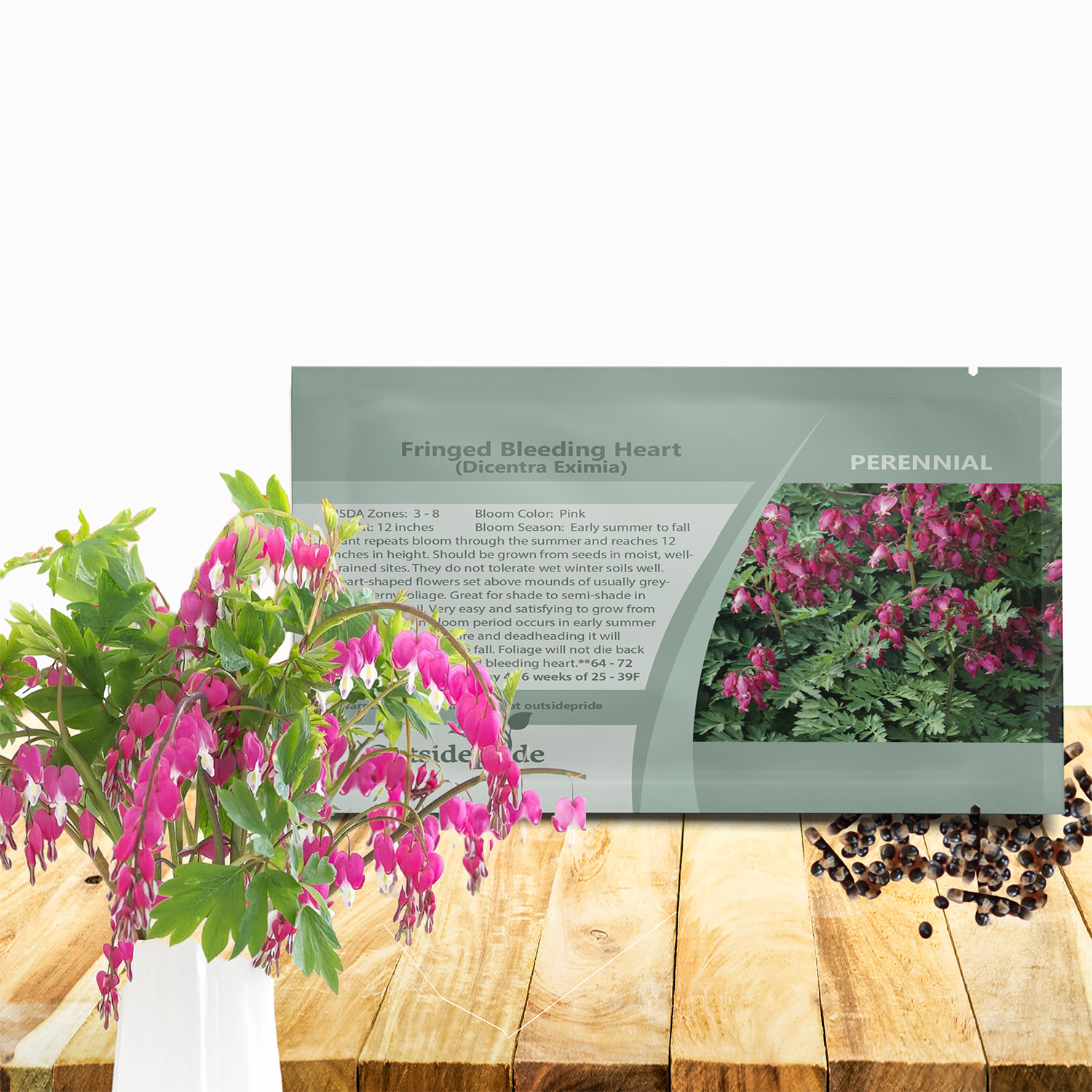 Dicentra Flower Seed Packet For Planting