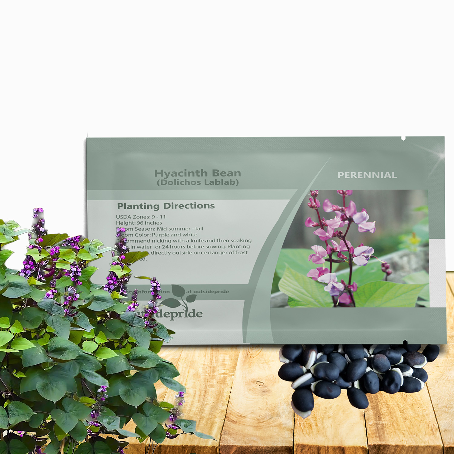 Dolichos Green Leaf Hyacinth Bean Seed Packet For Planting