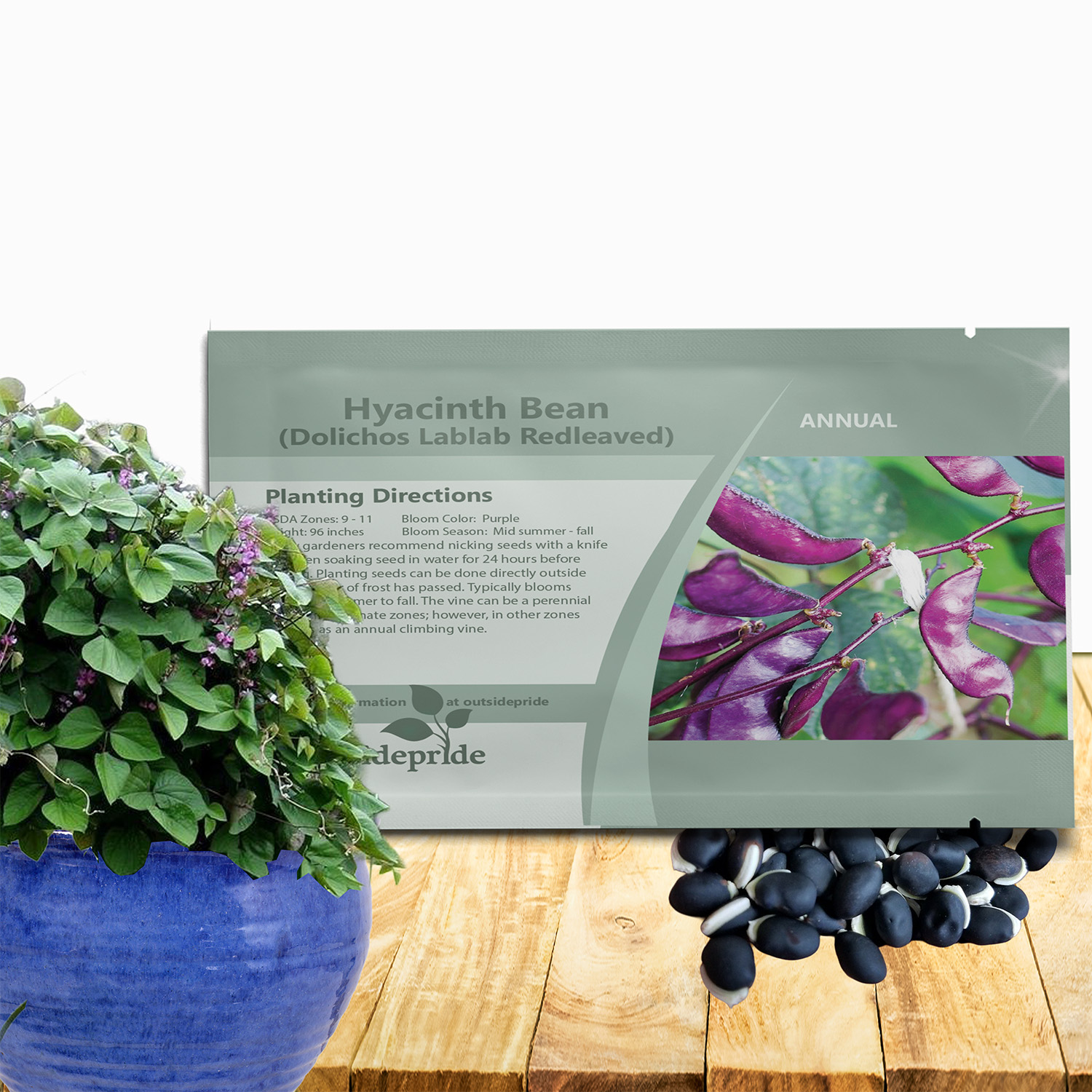Hyacinth Bean Redleaved Seed Packet