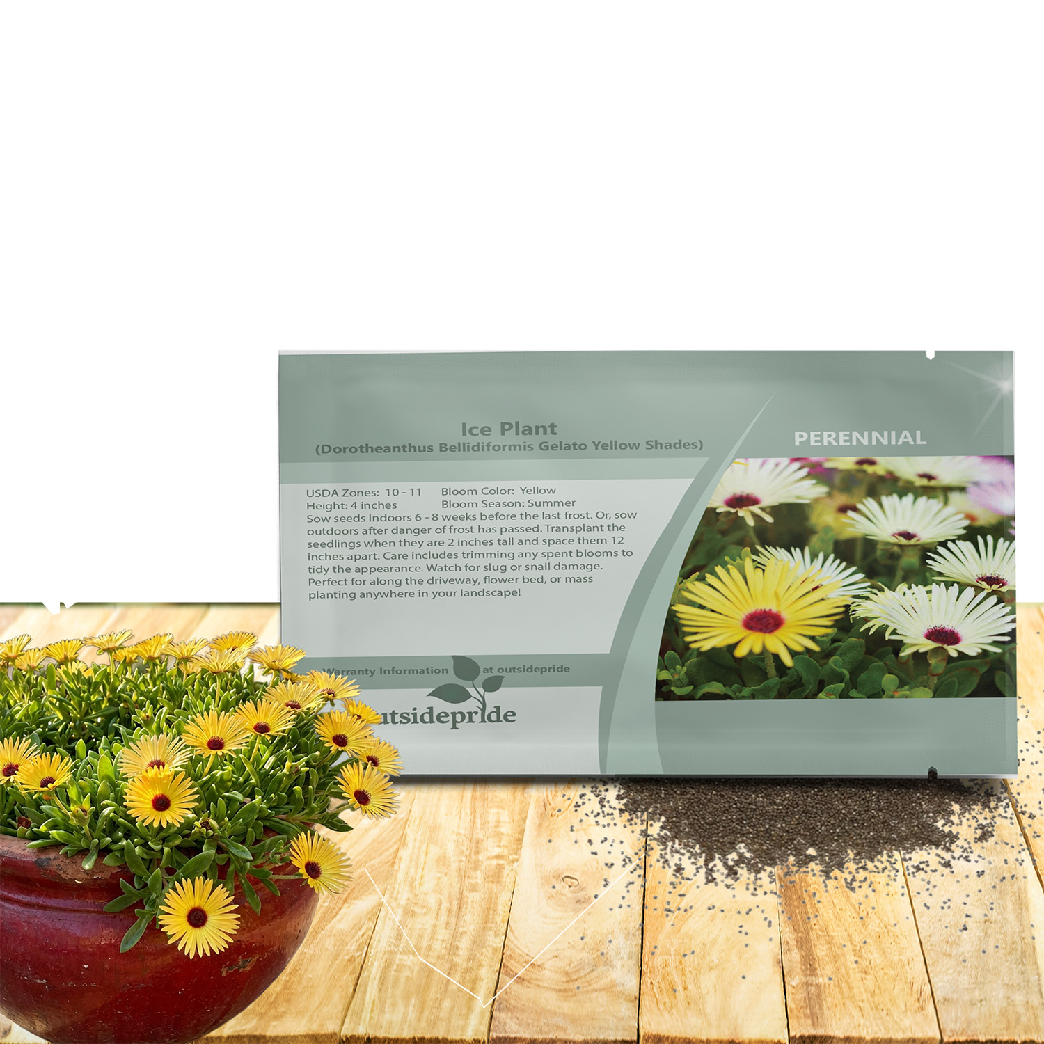 Livingstone Daisy Yellow Seed Packet