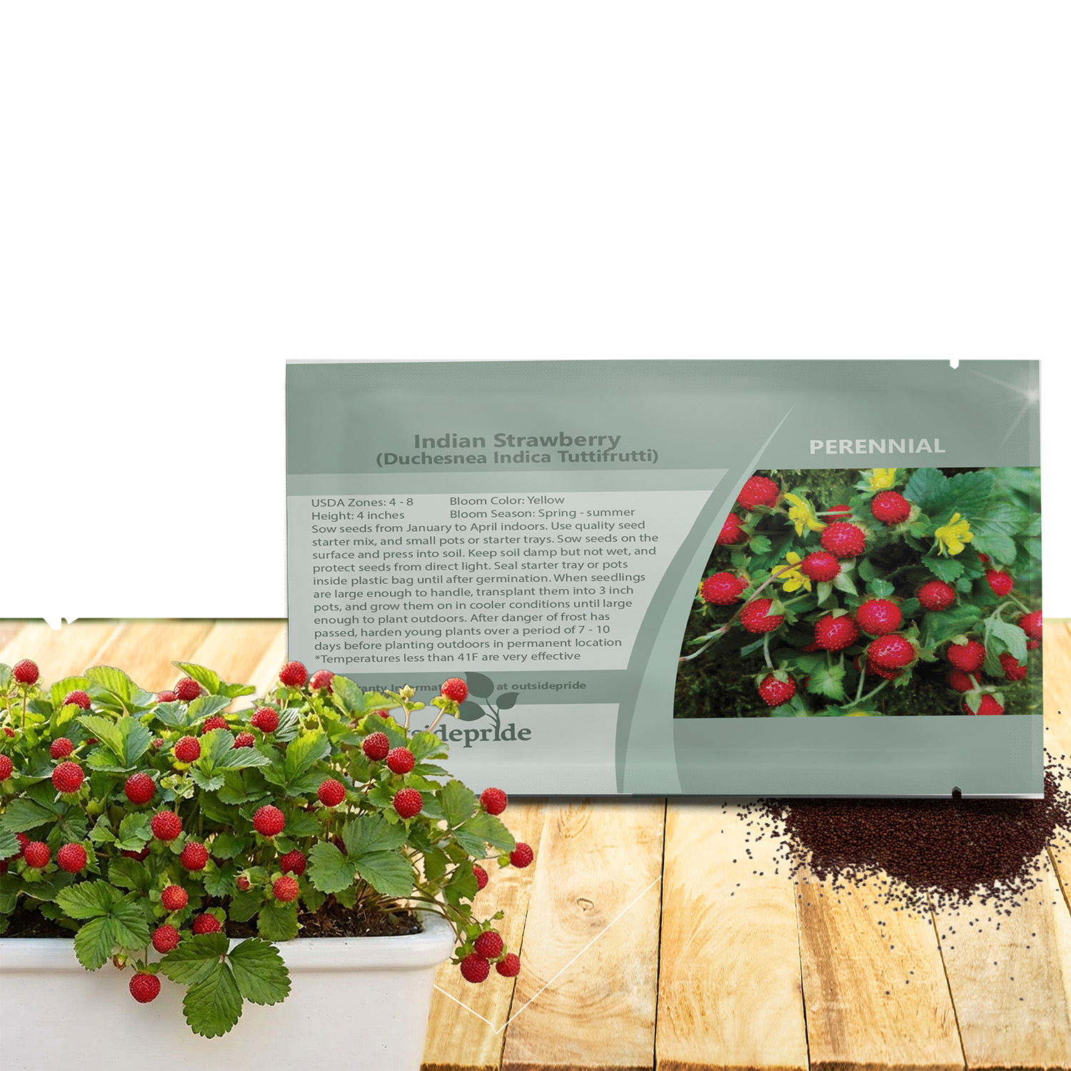 Indian Strawberry Fruit Seed Packet
