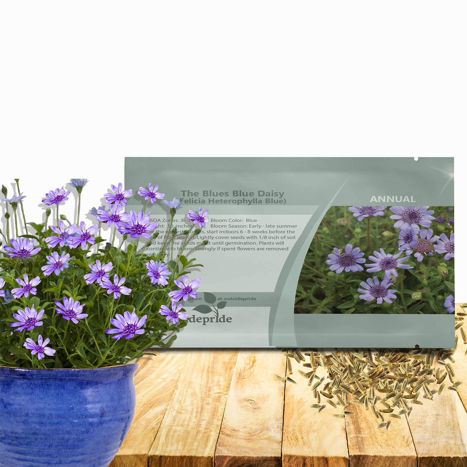 Blue Daisy Seed Packet