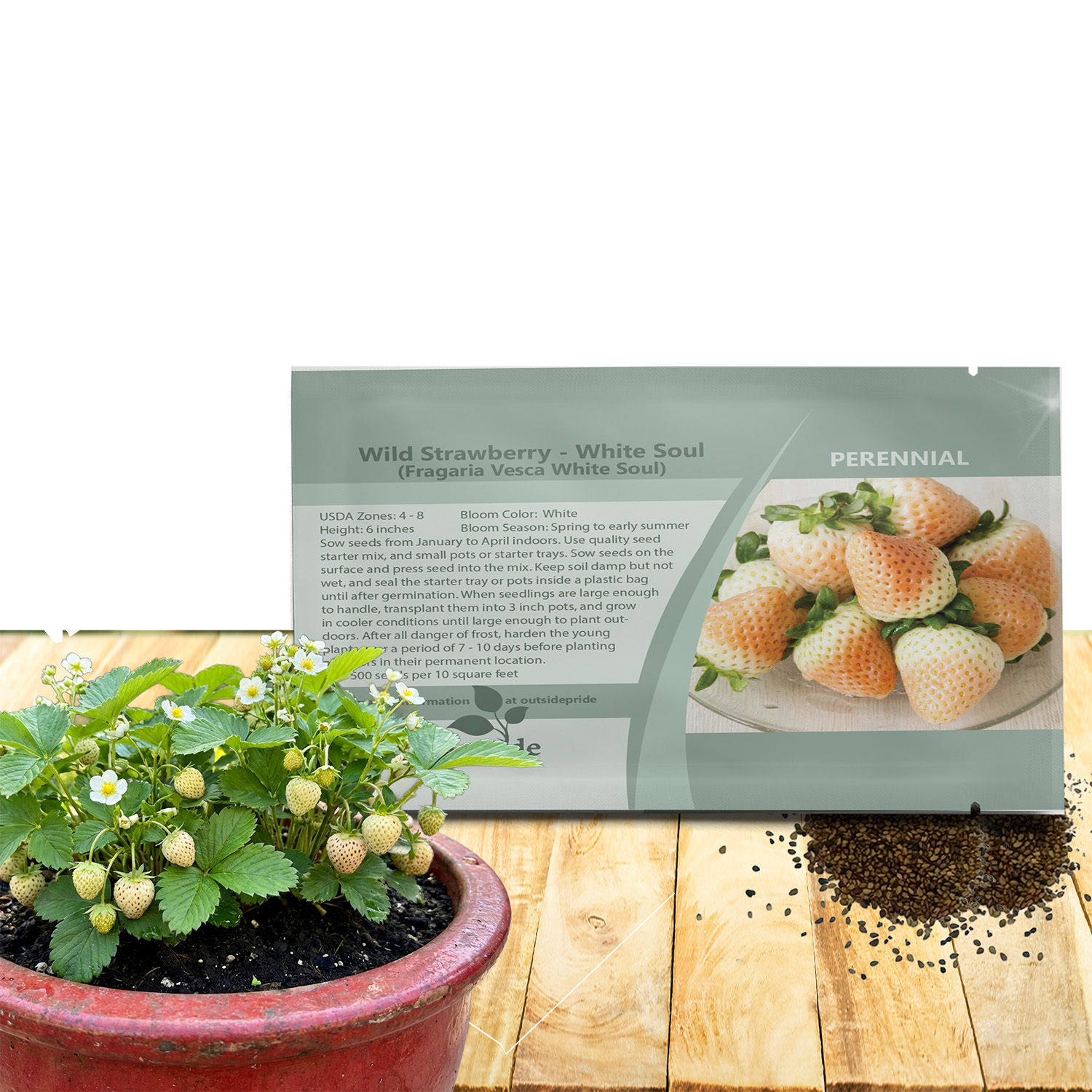 Strawberry White Fruit Seed Packet