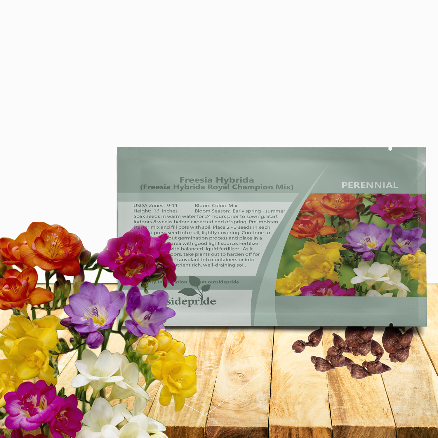 Freesia Flower Seed Packet Mix For Planting