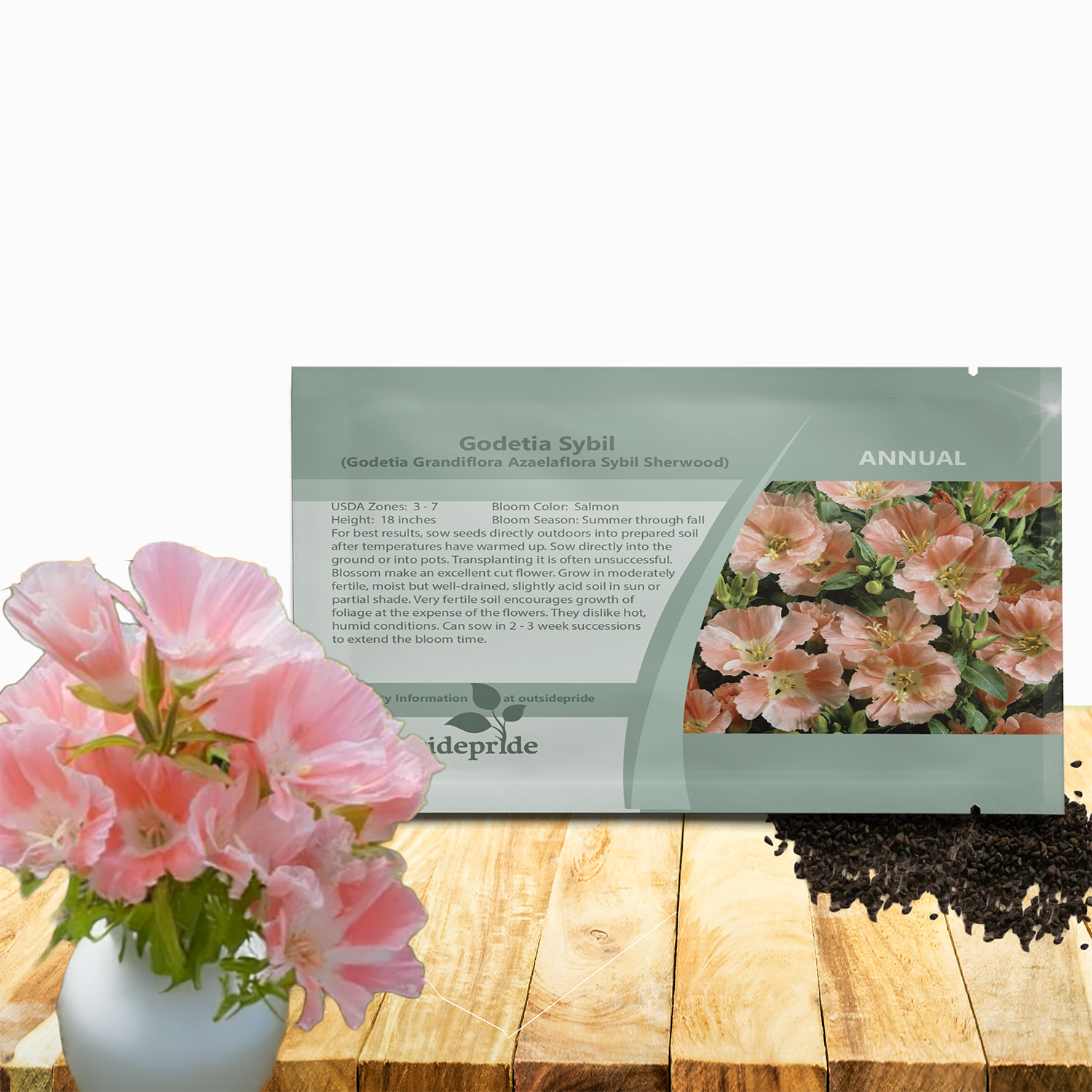 Godetia Rembrandt Seed Packet For Planting