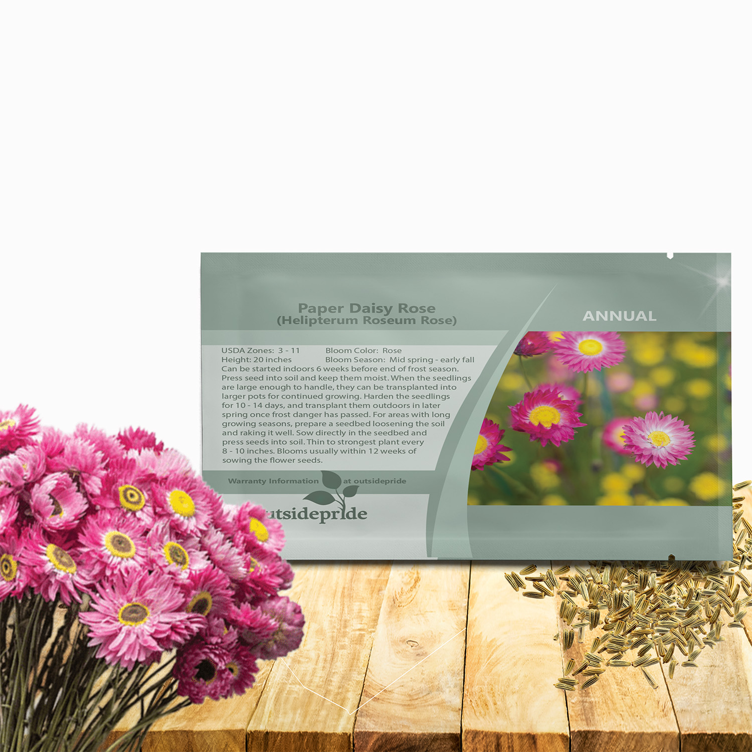 Helipterum Rose Seed Packet