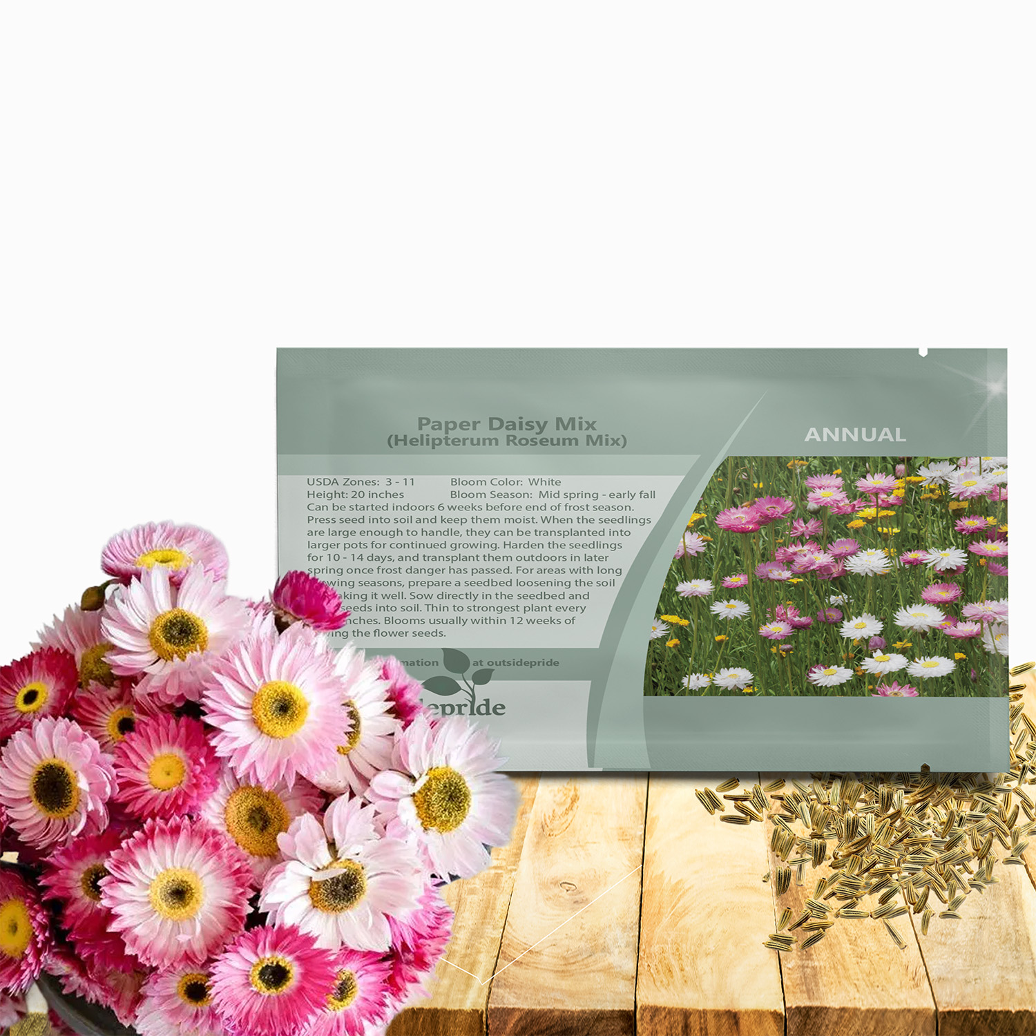 Helipterum Flower Seed Packet