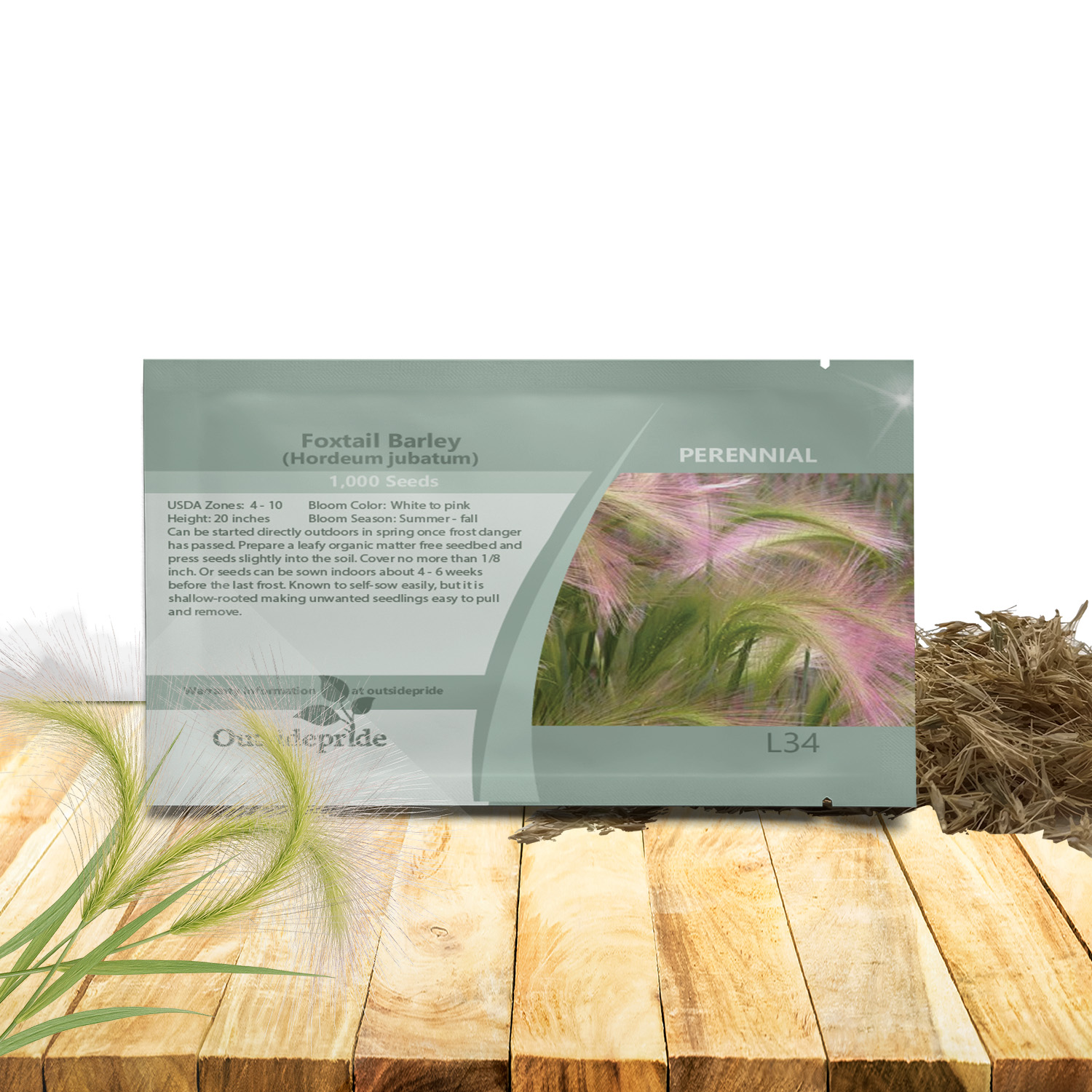 Hordeum Jubatum Seed Packet