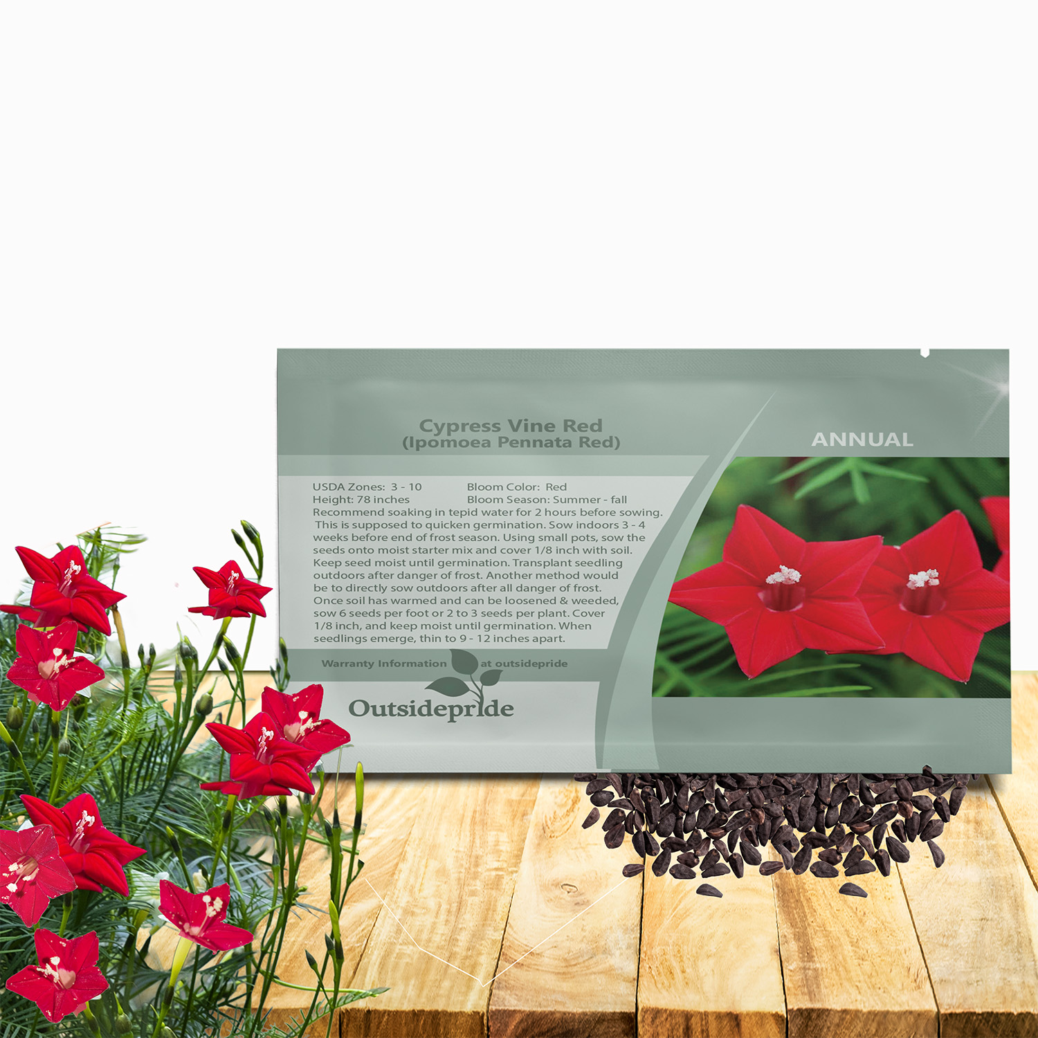 Cypress Vine Red Seed Packet